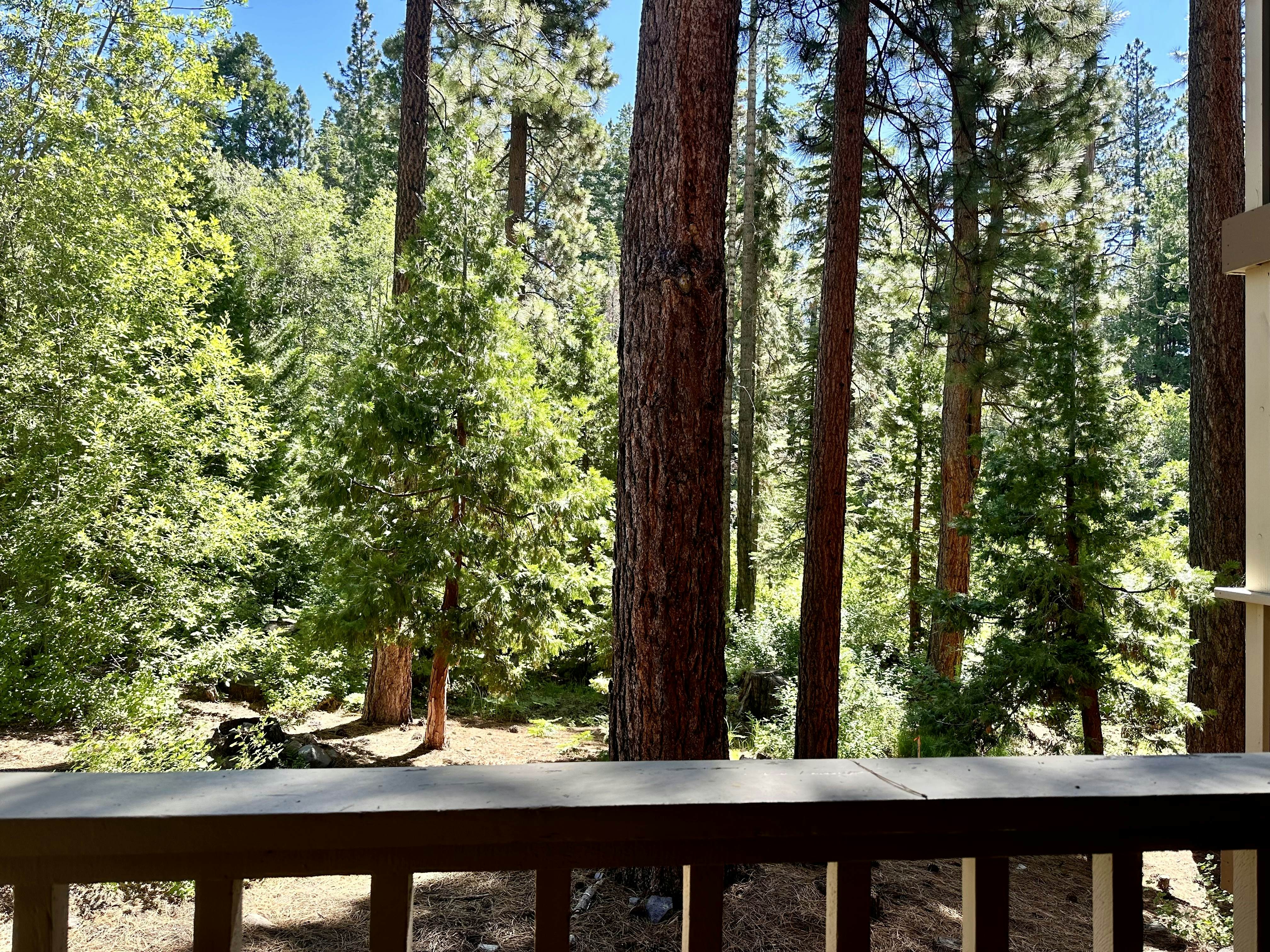 Kingswood Village #167