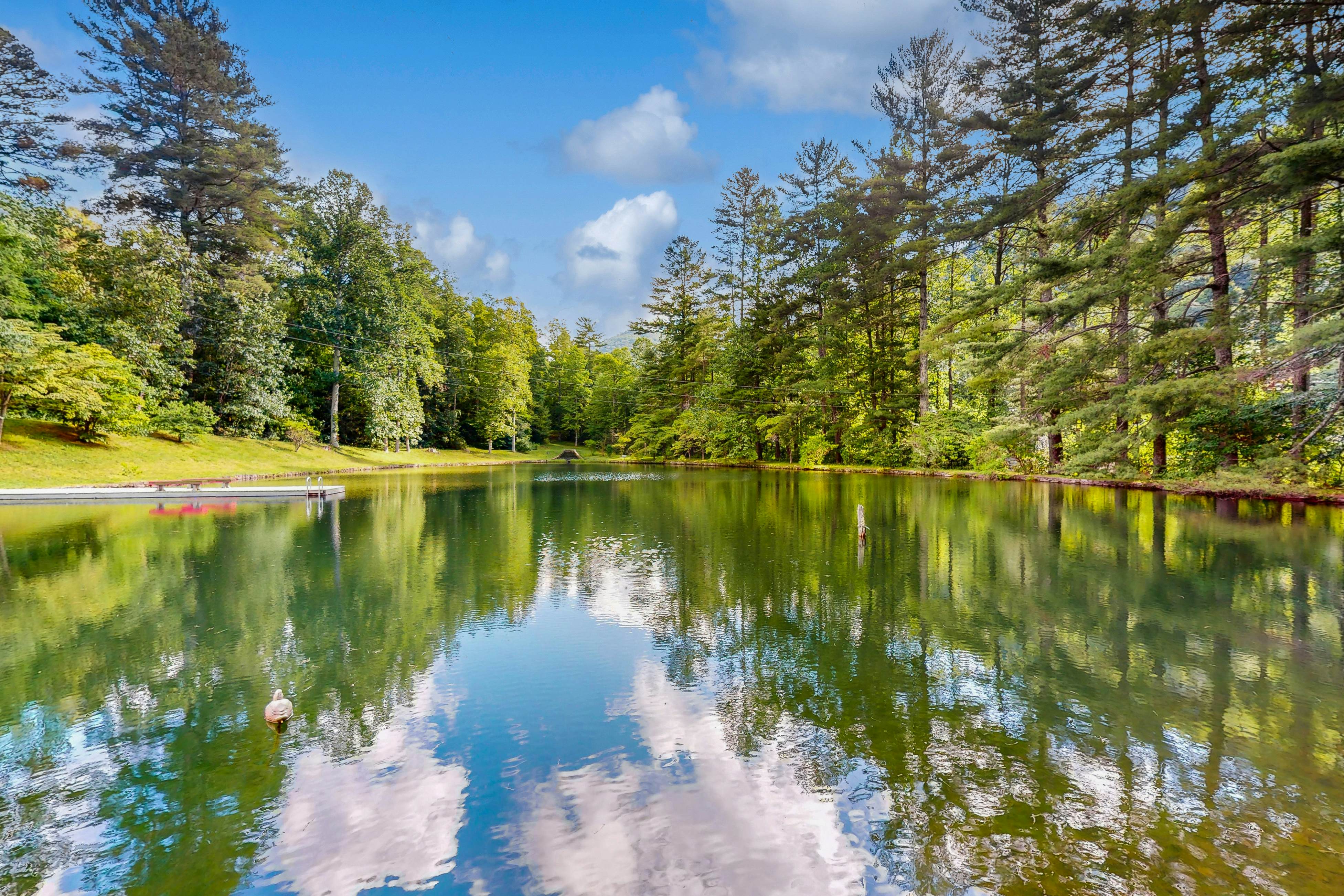 Bull Creek Peaceful Escape