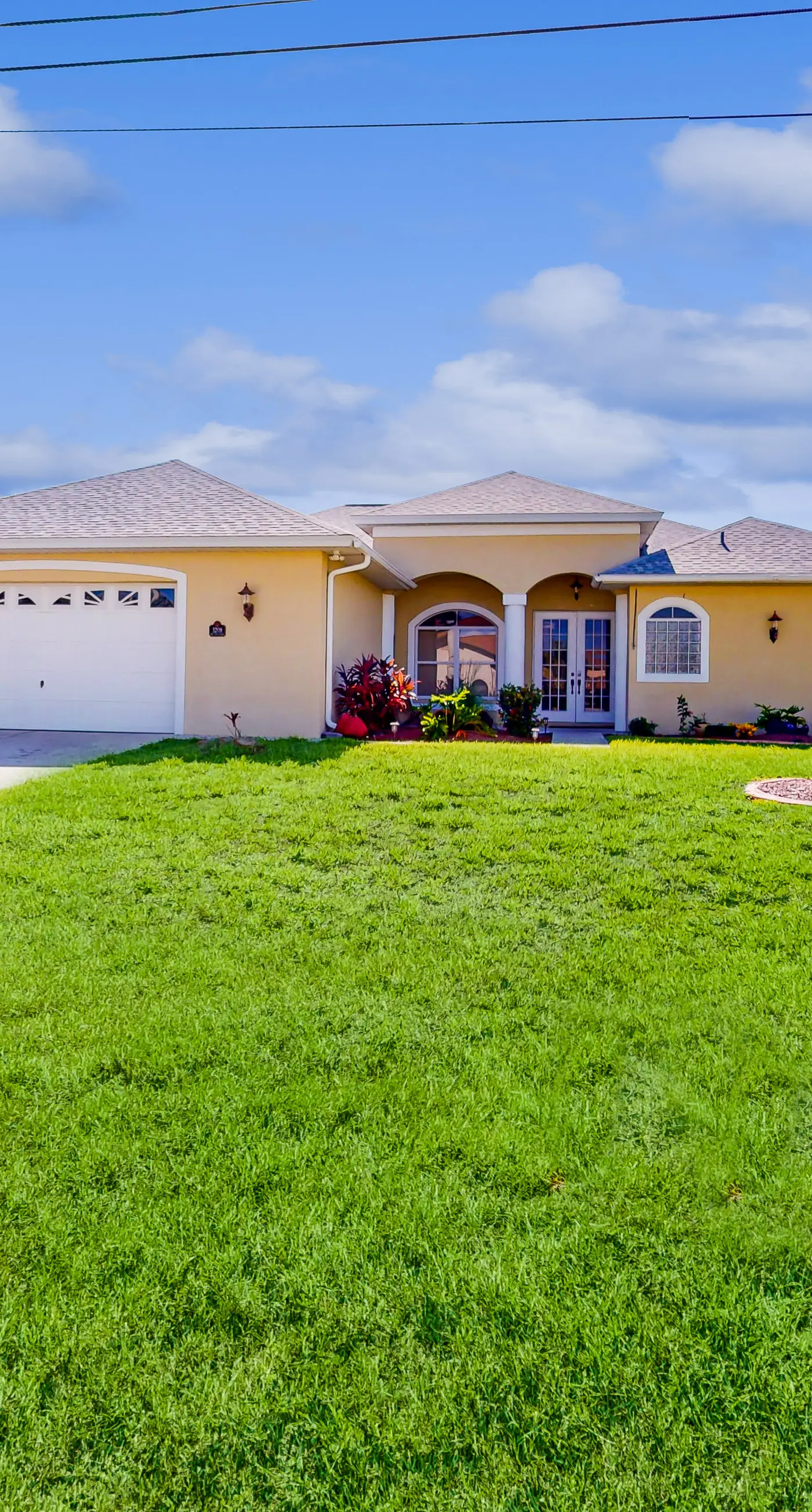 Palm Paradise Escape