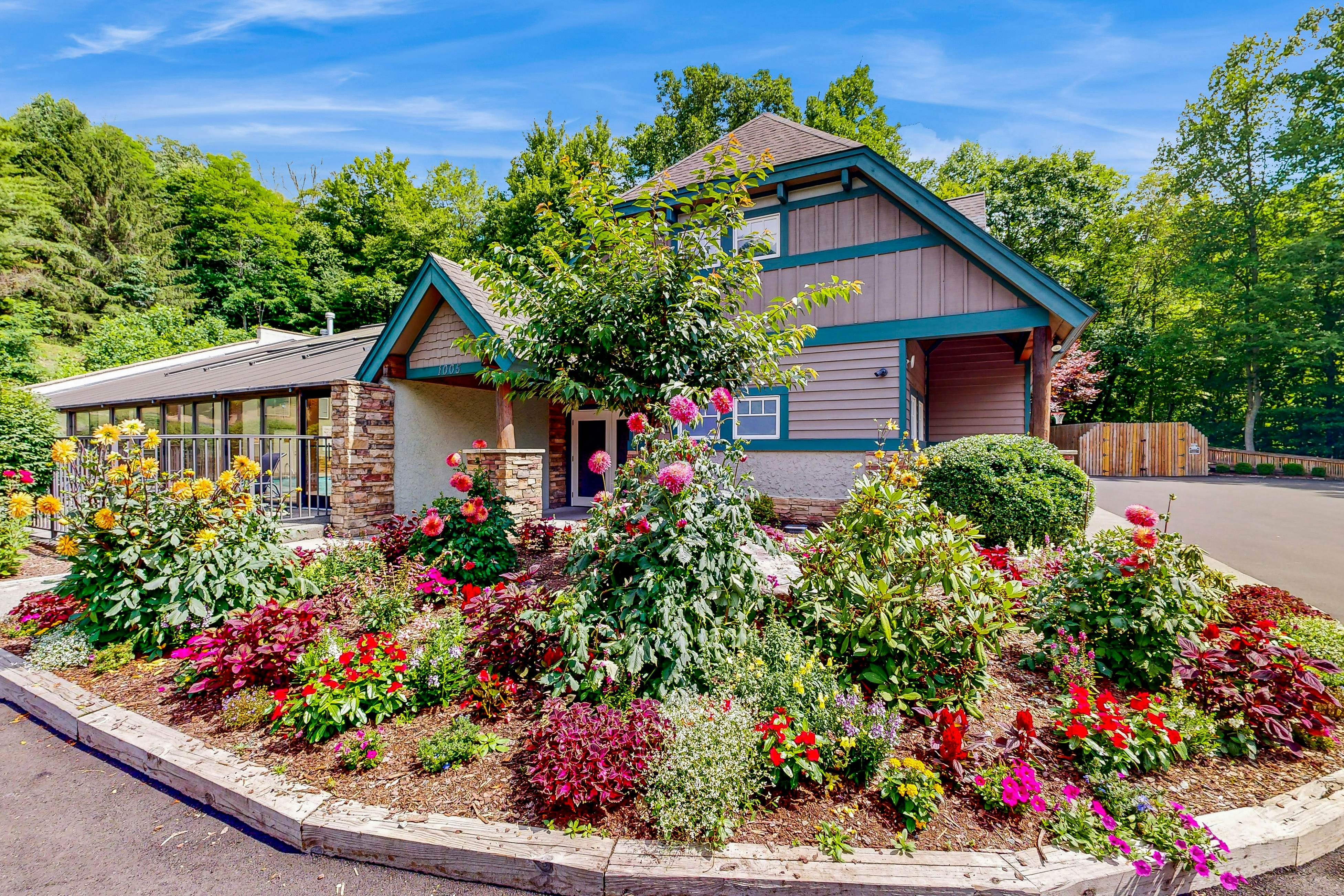 Luminous Pine Hideaway