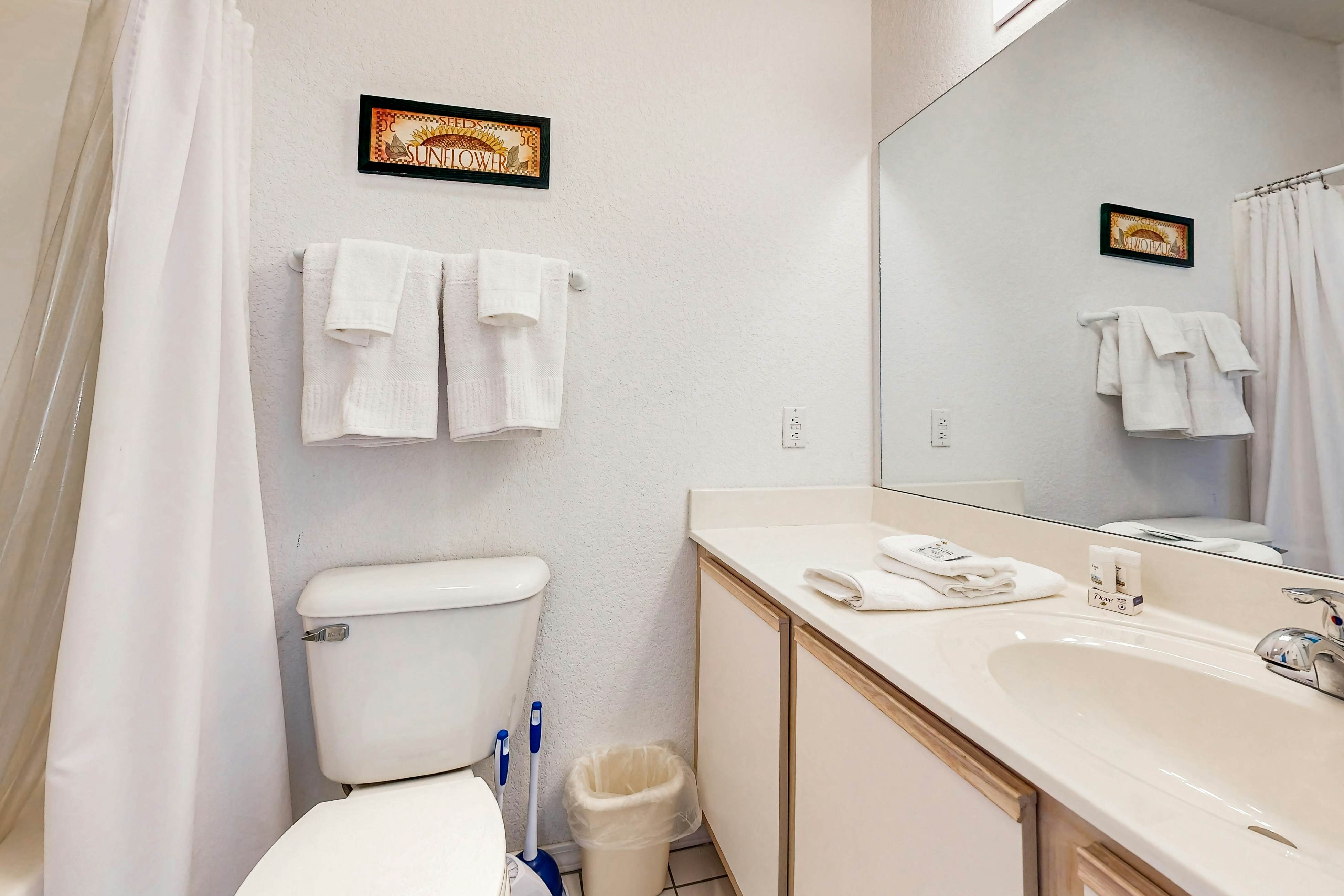 Rocky Shore Reflection