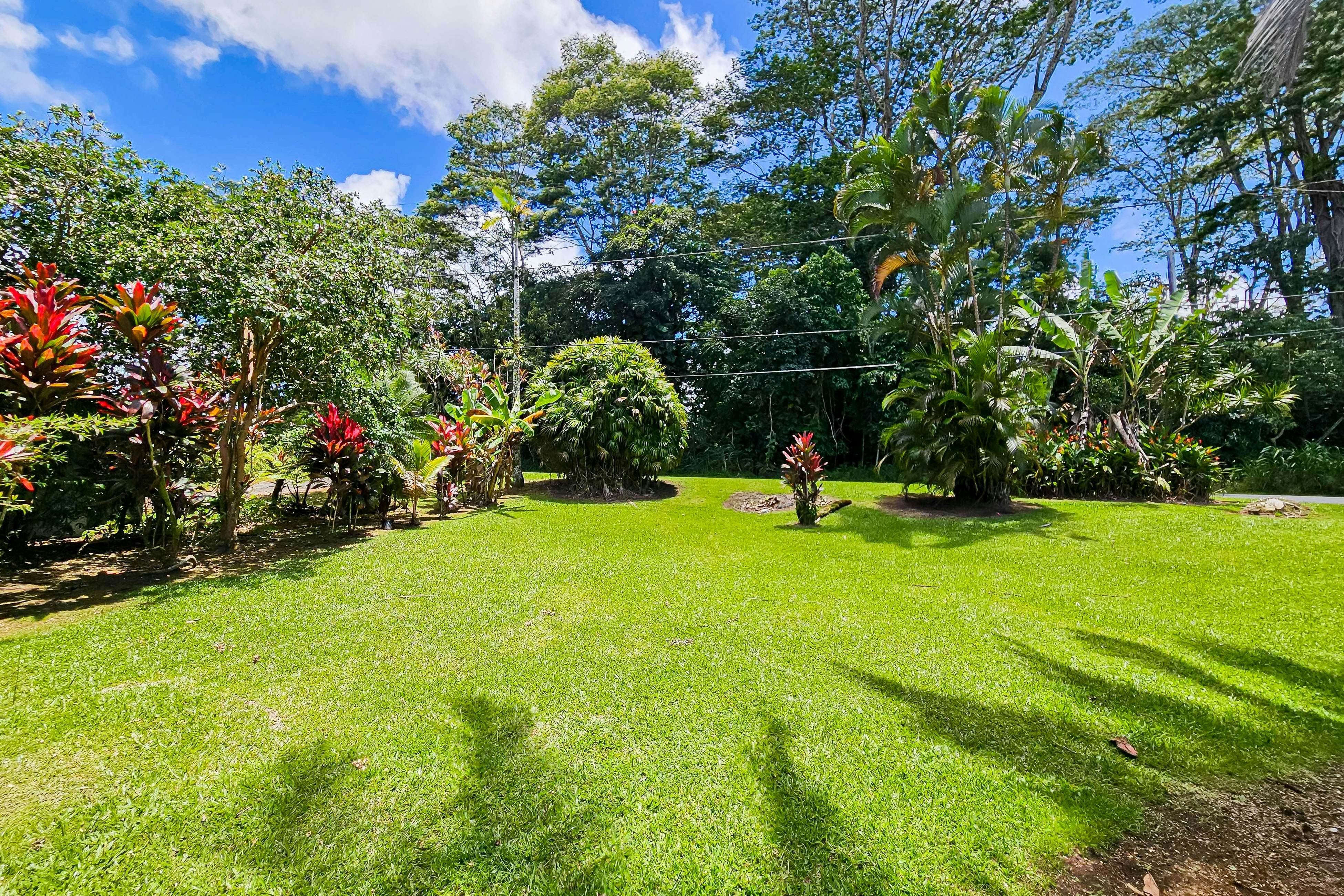 Manawa Ho'omaha | 31-Day Minimum