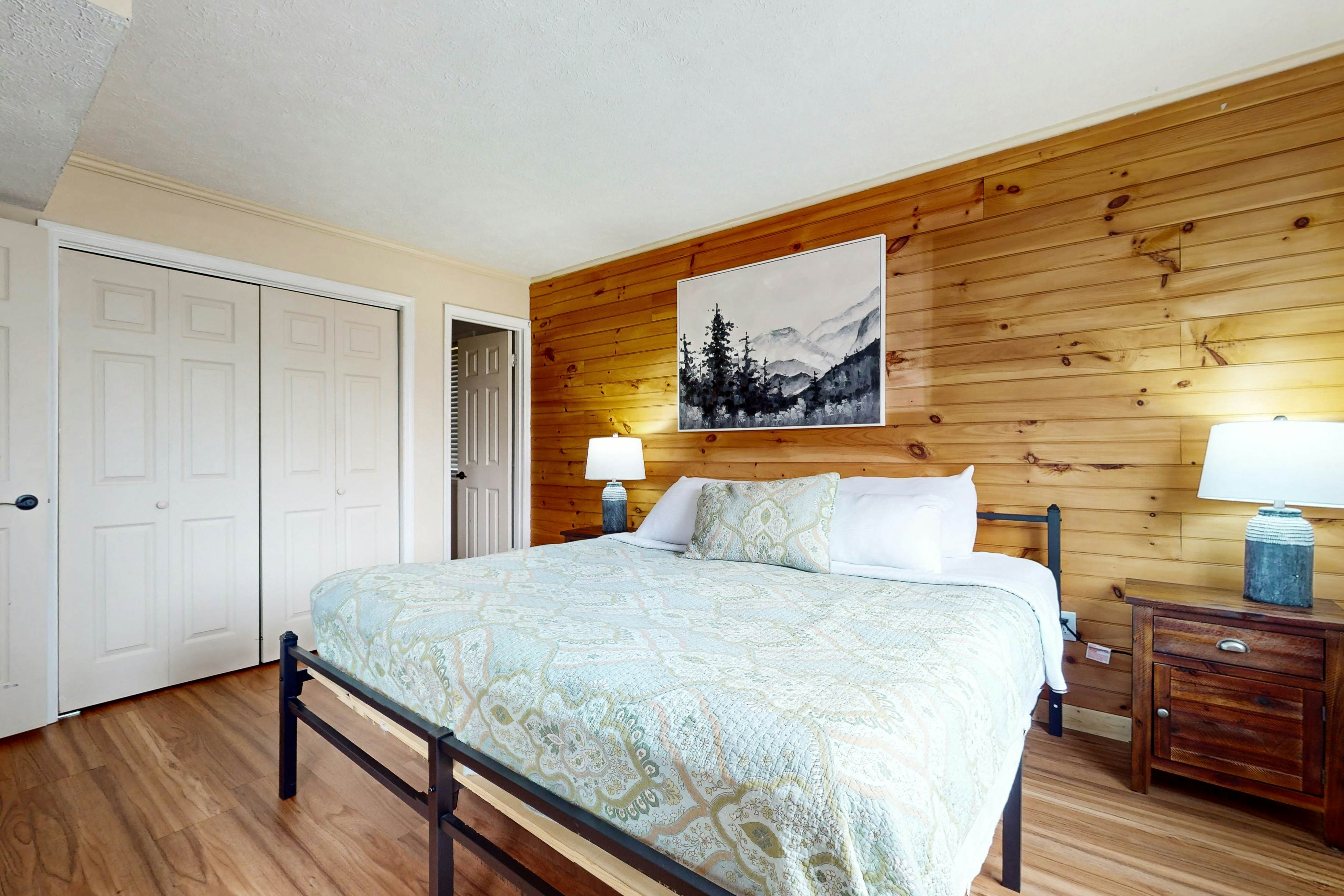 Ski View Mountain Resort -   Mountainside