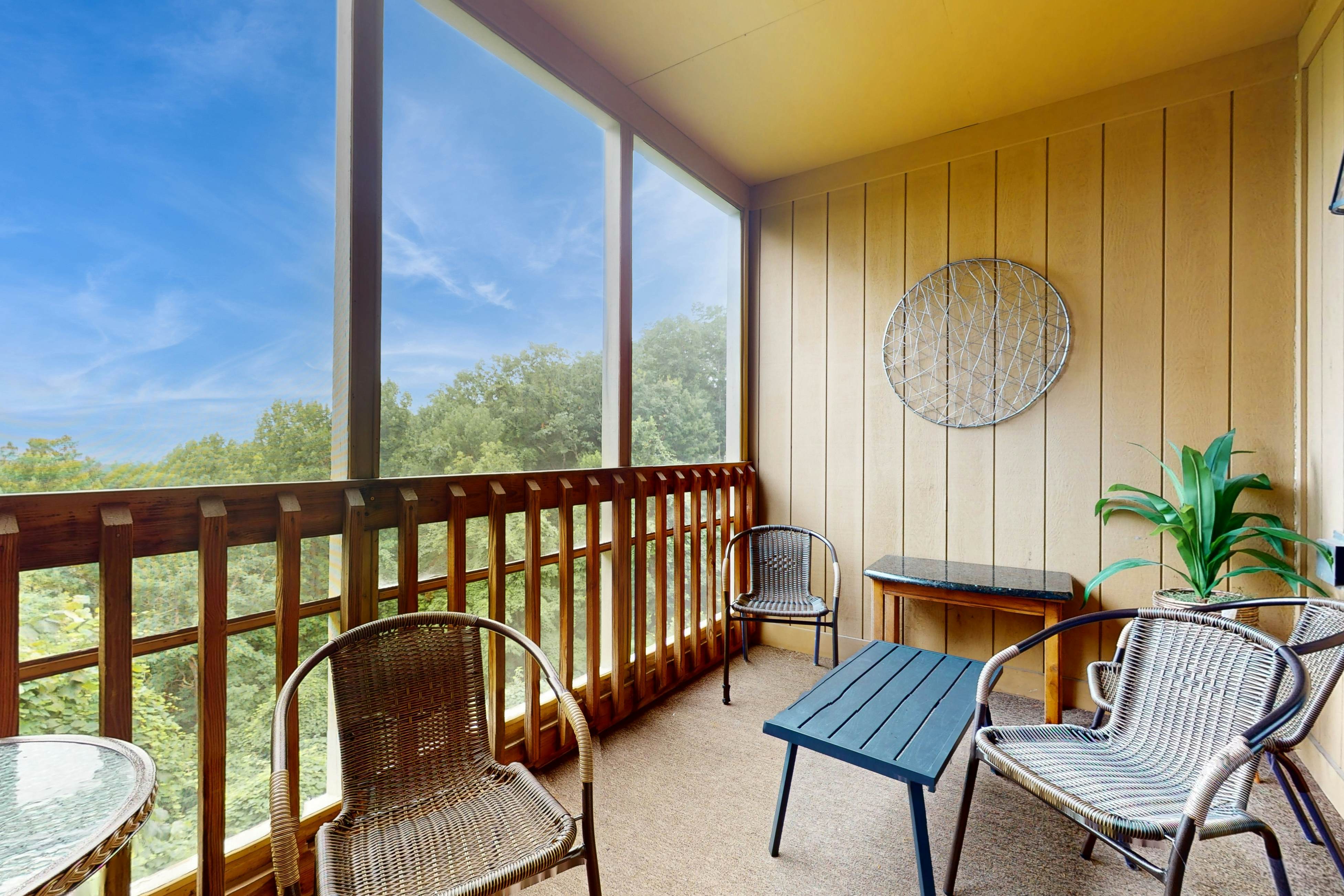 Ski View Mountain Resort -   Mountainside