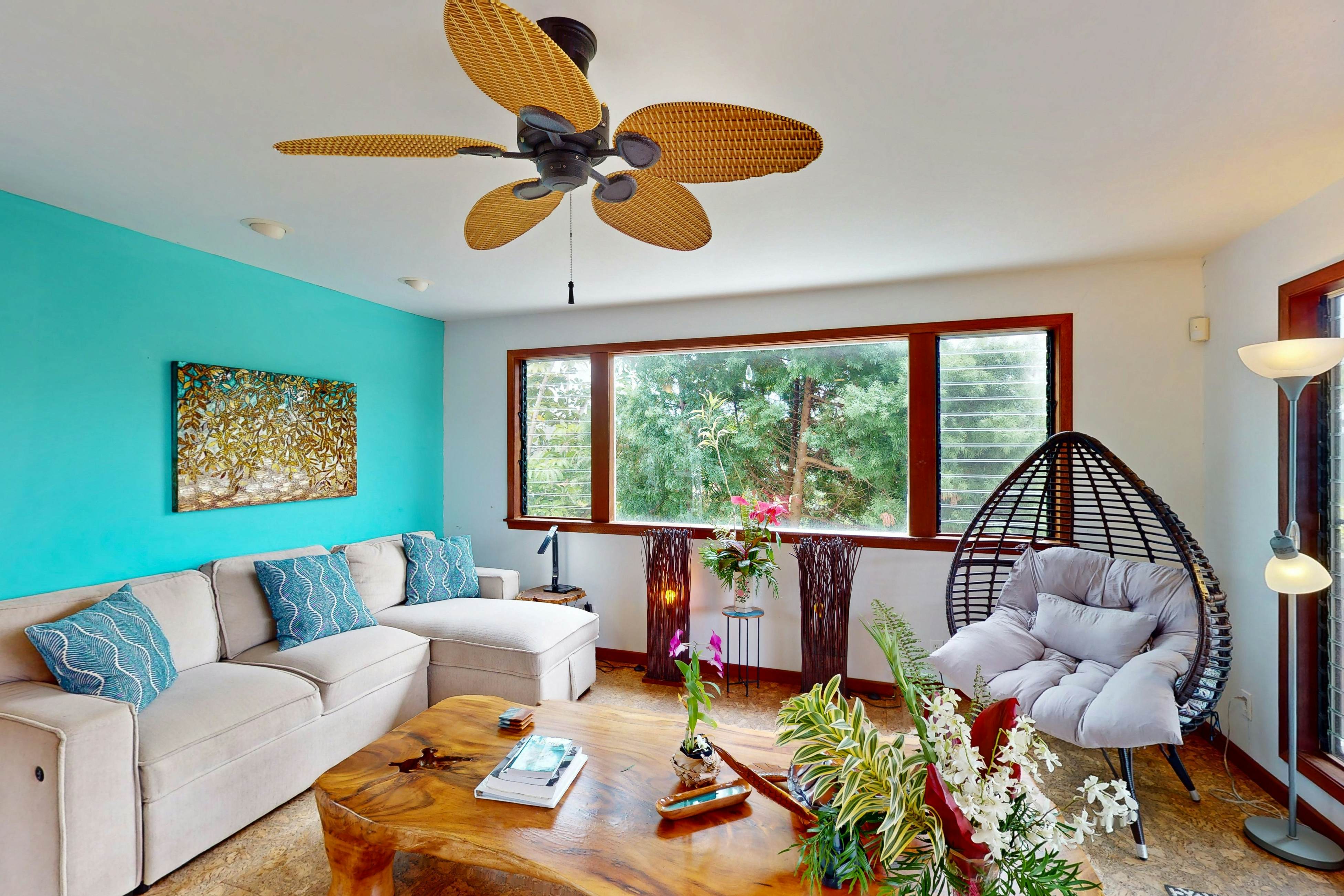 Tropical Dolphin B | 31-Day Minimum