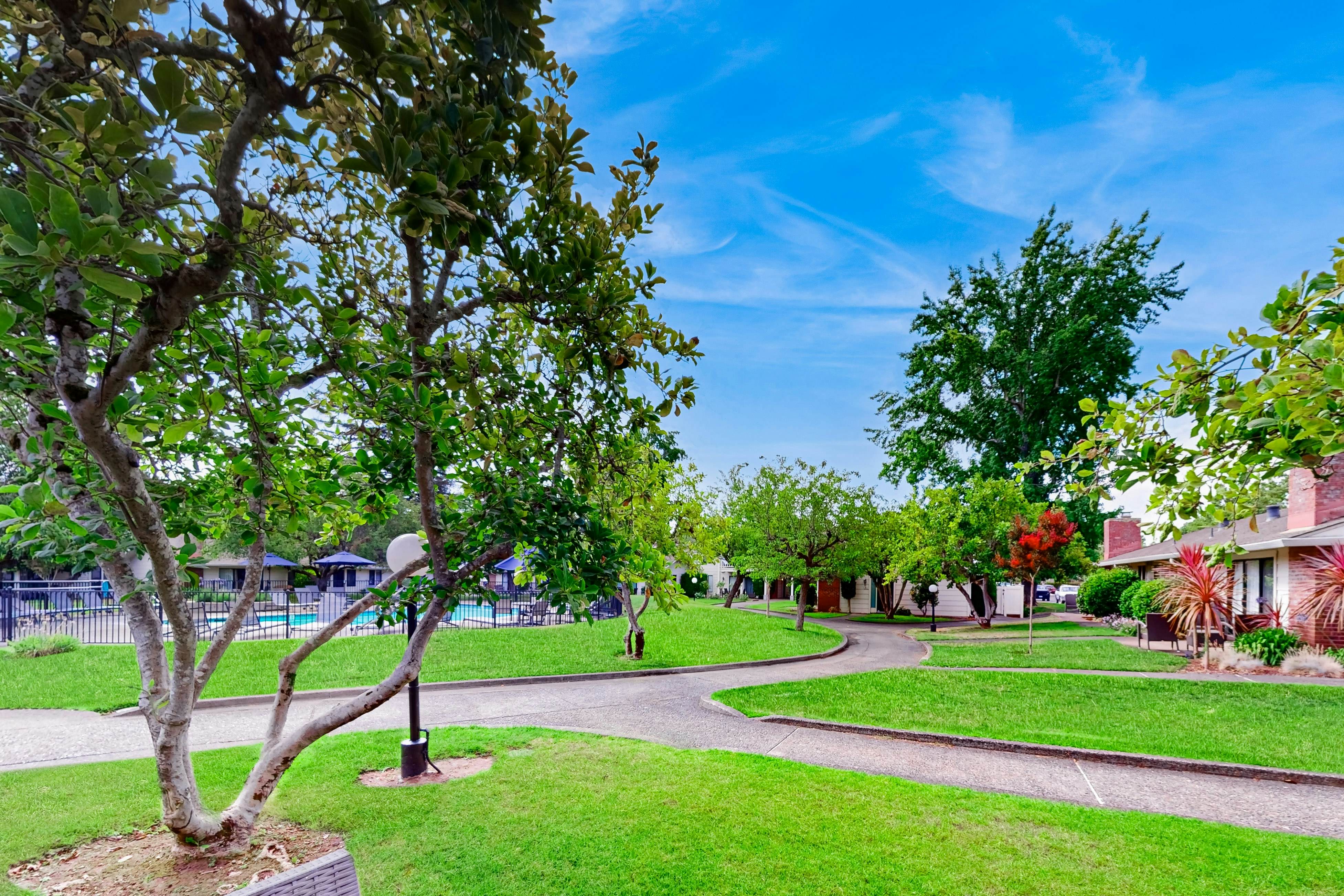 Silverado Resort and Spa 287