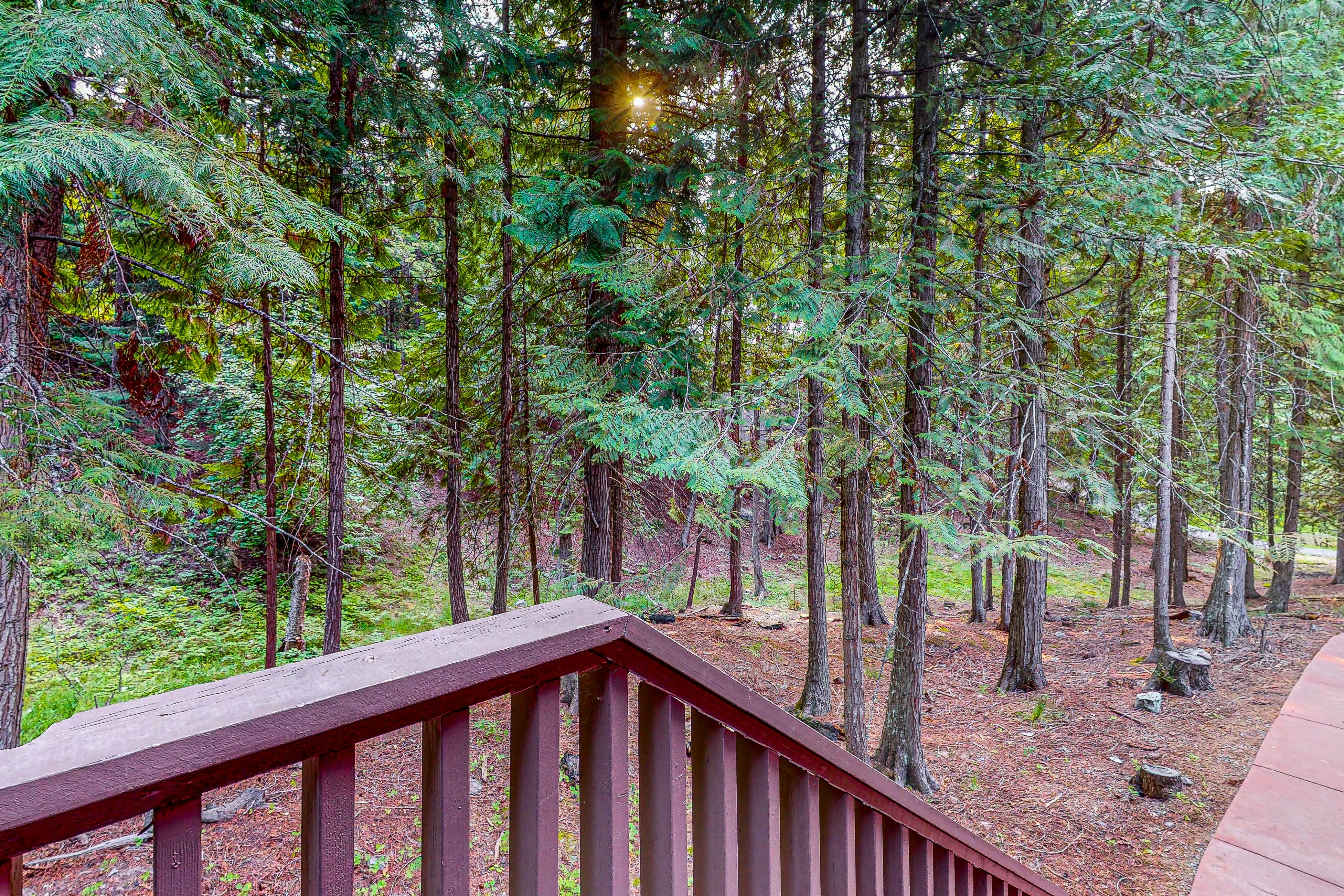 Peaceful Pine Retreat