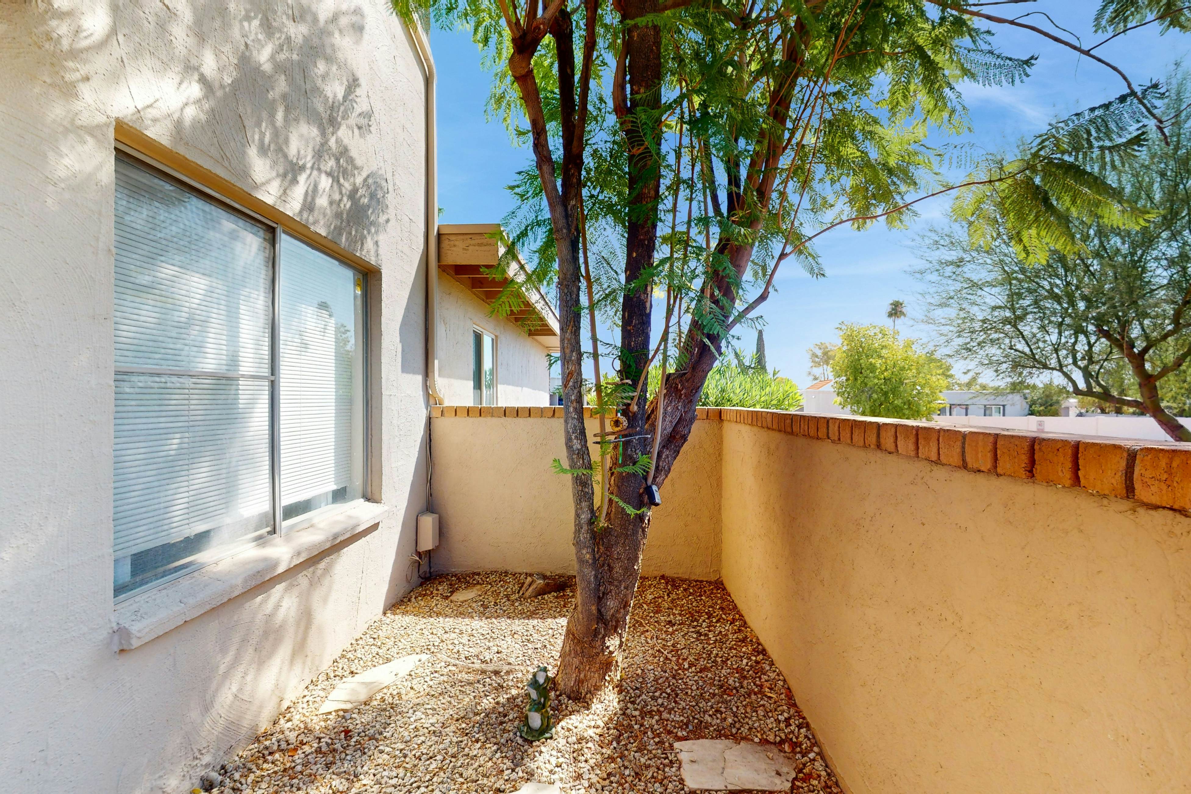 Fun in the Fountain Hills Sun