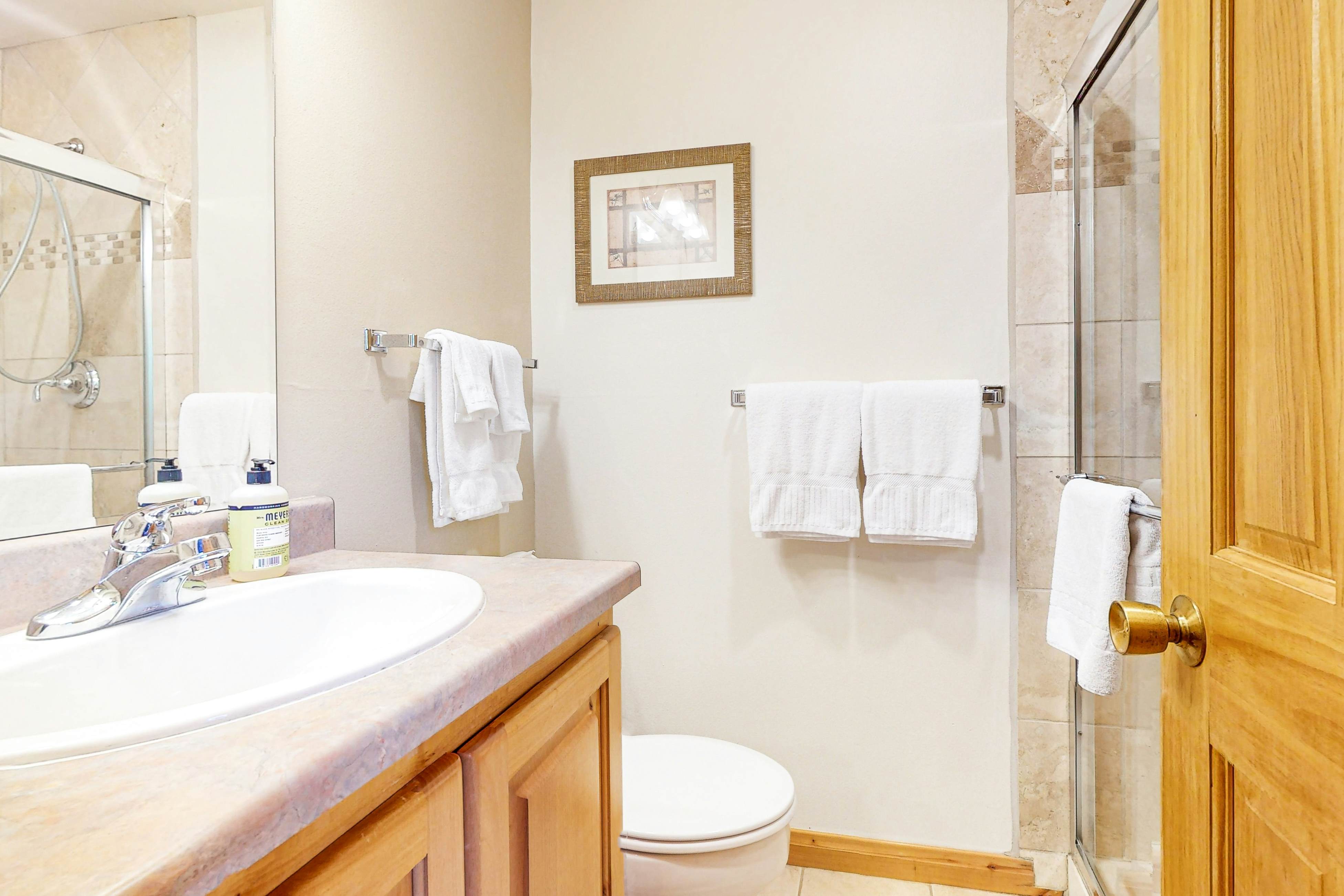 Beaver Creek West Condo