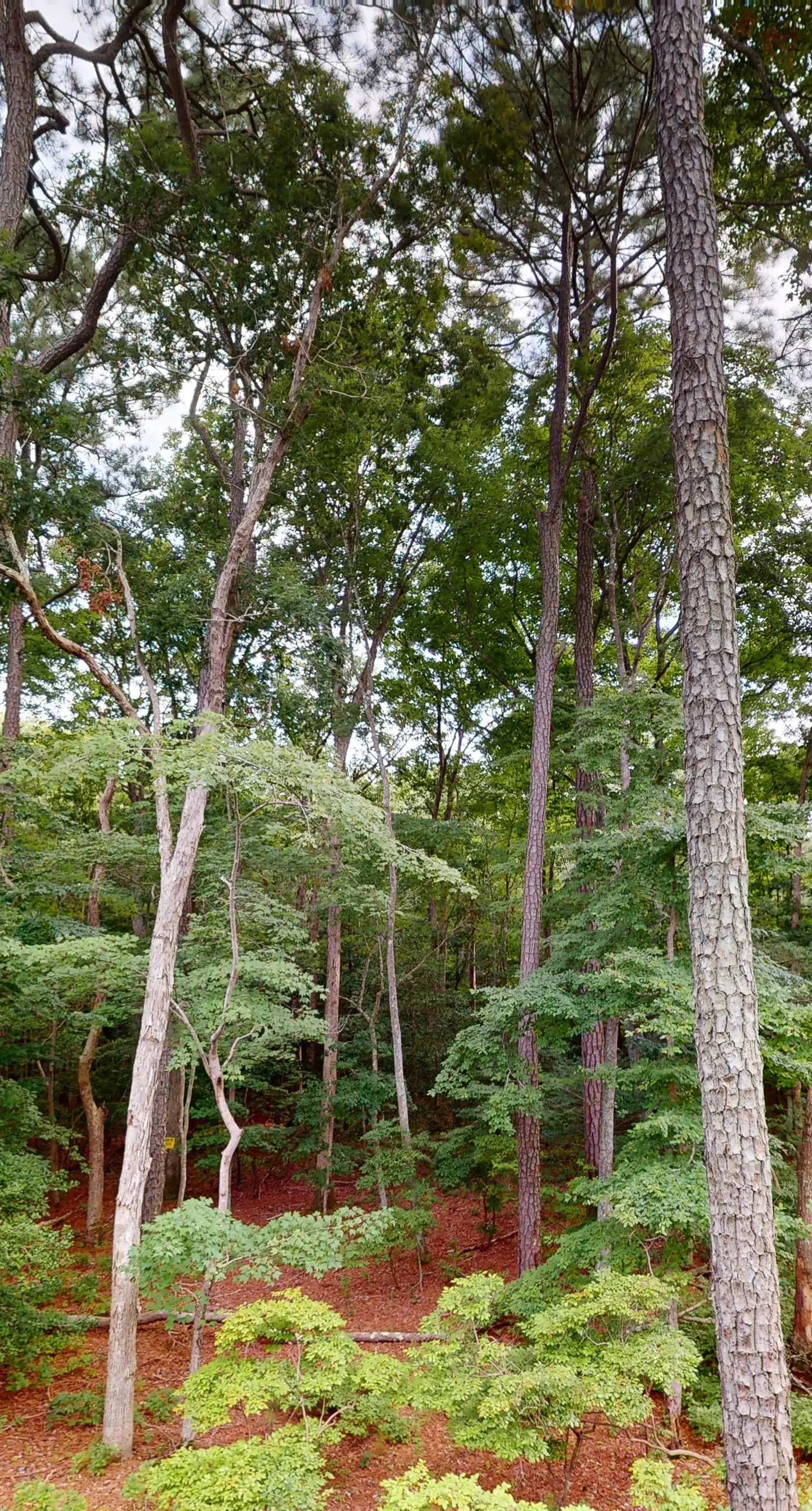 Sea Oaks Village 12451 #4