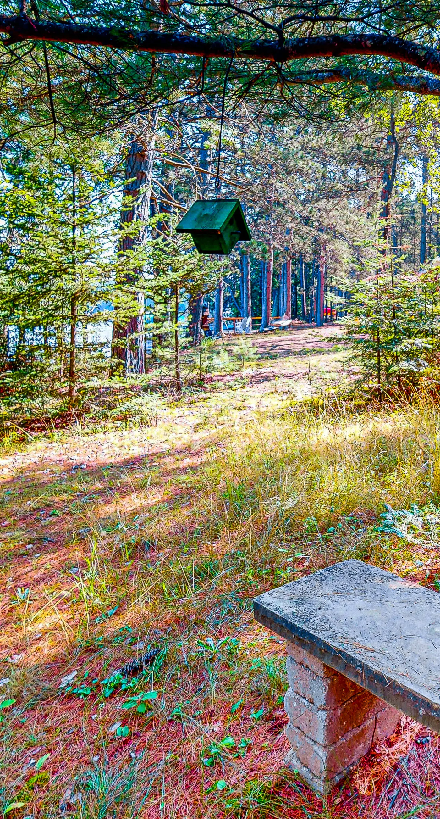 Two Sisters Lakeside