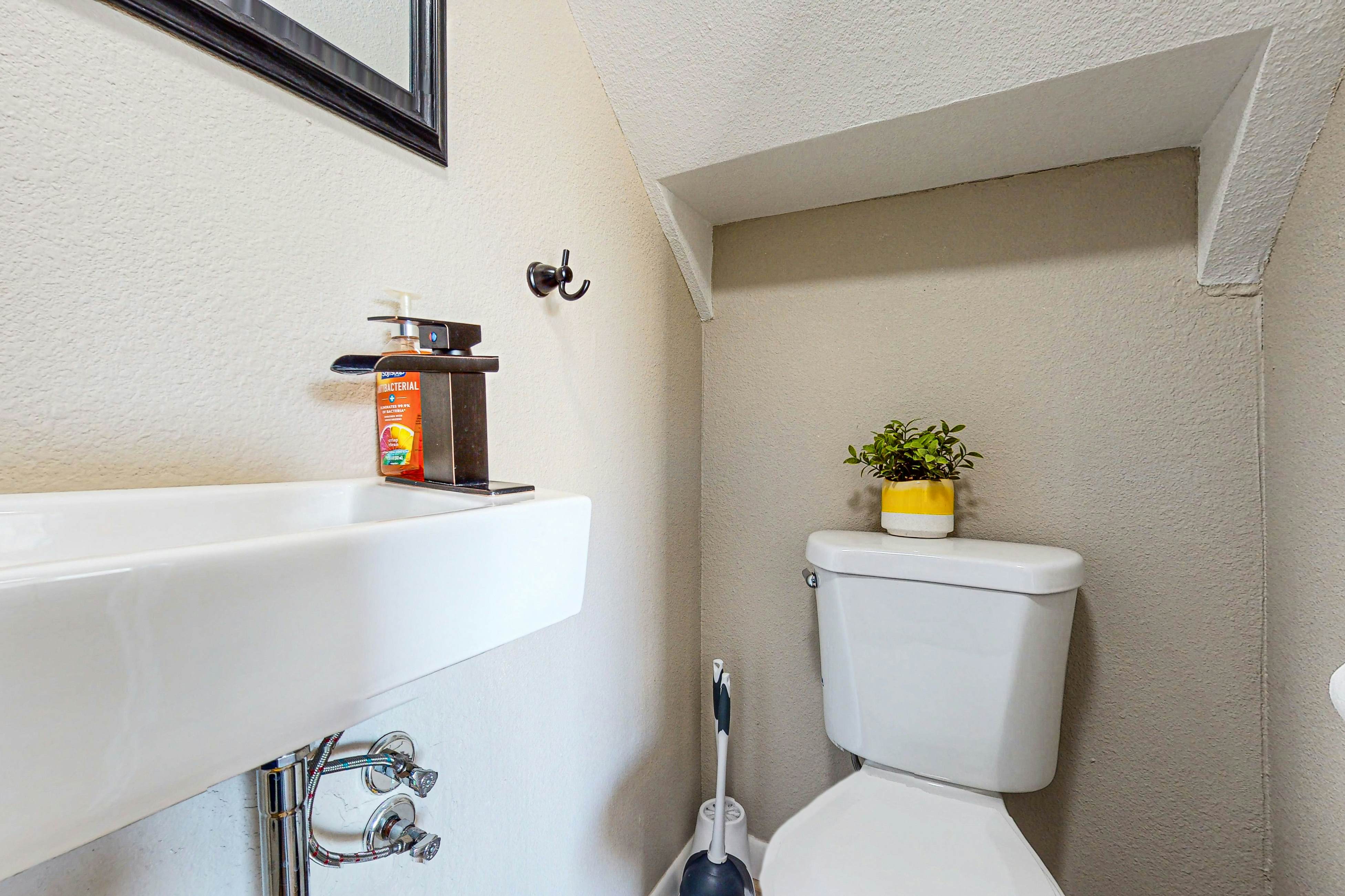 Fun in the Fountain Hills Sun