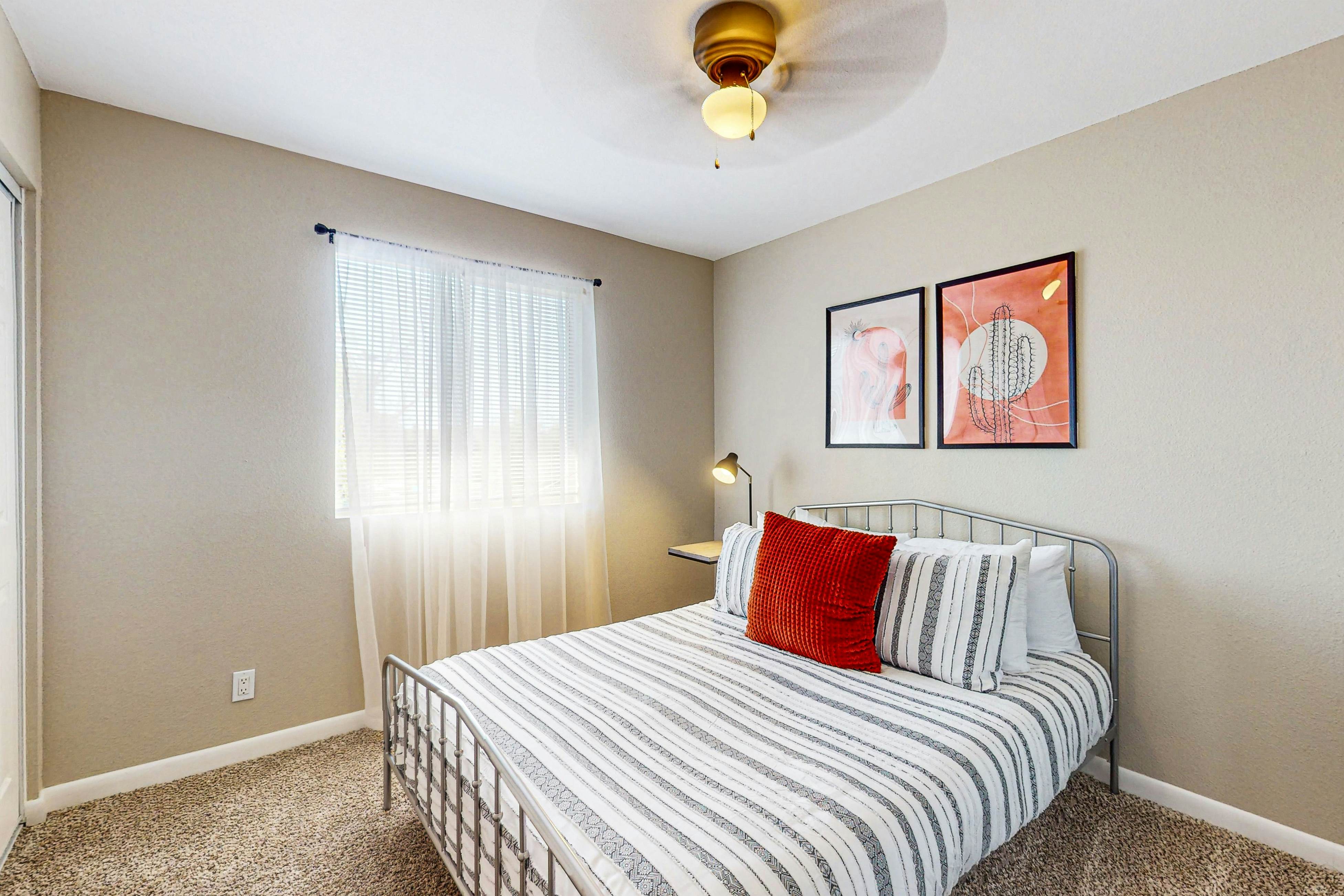 Fun in the Fountain Hills Sun