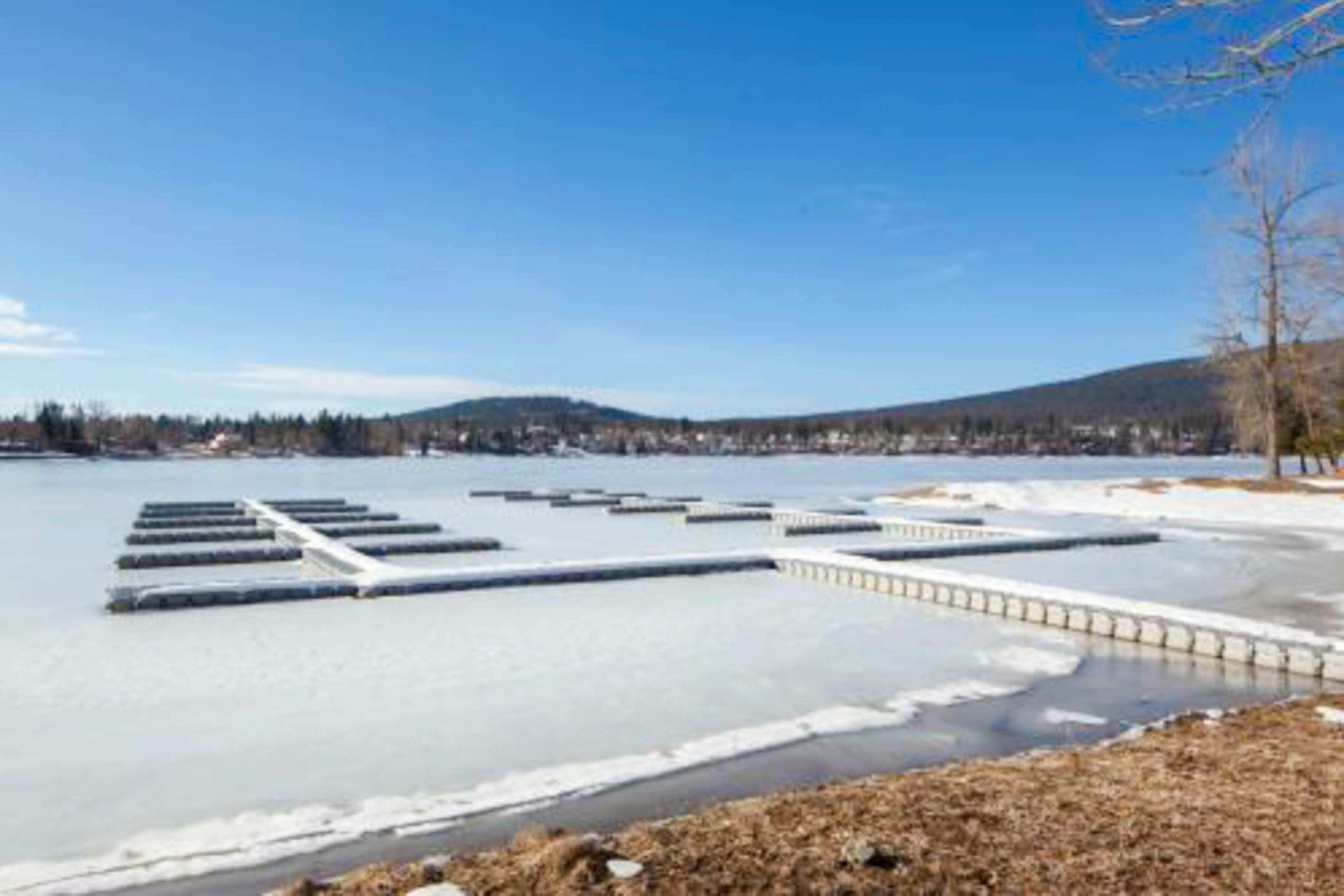 Peaceful Pine Retreat