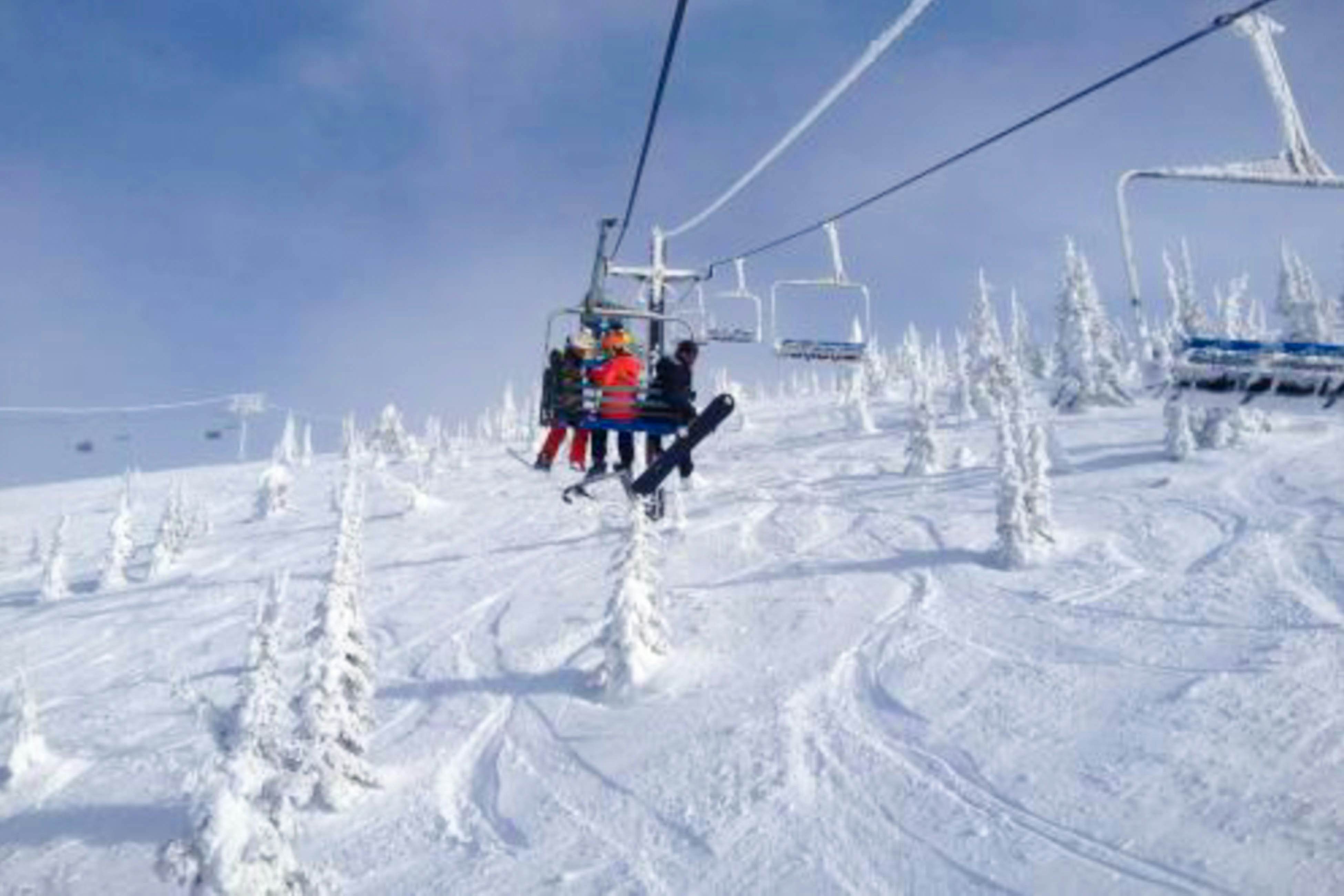 Peaceful Pine Retreat