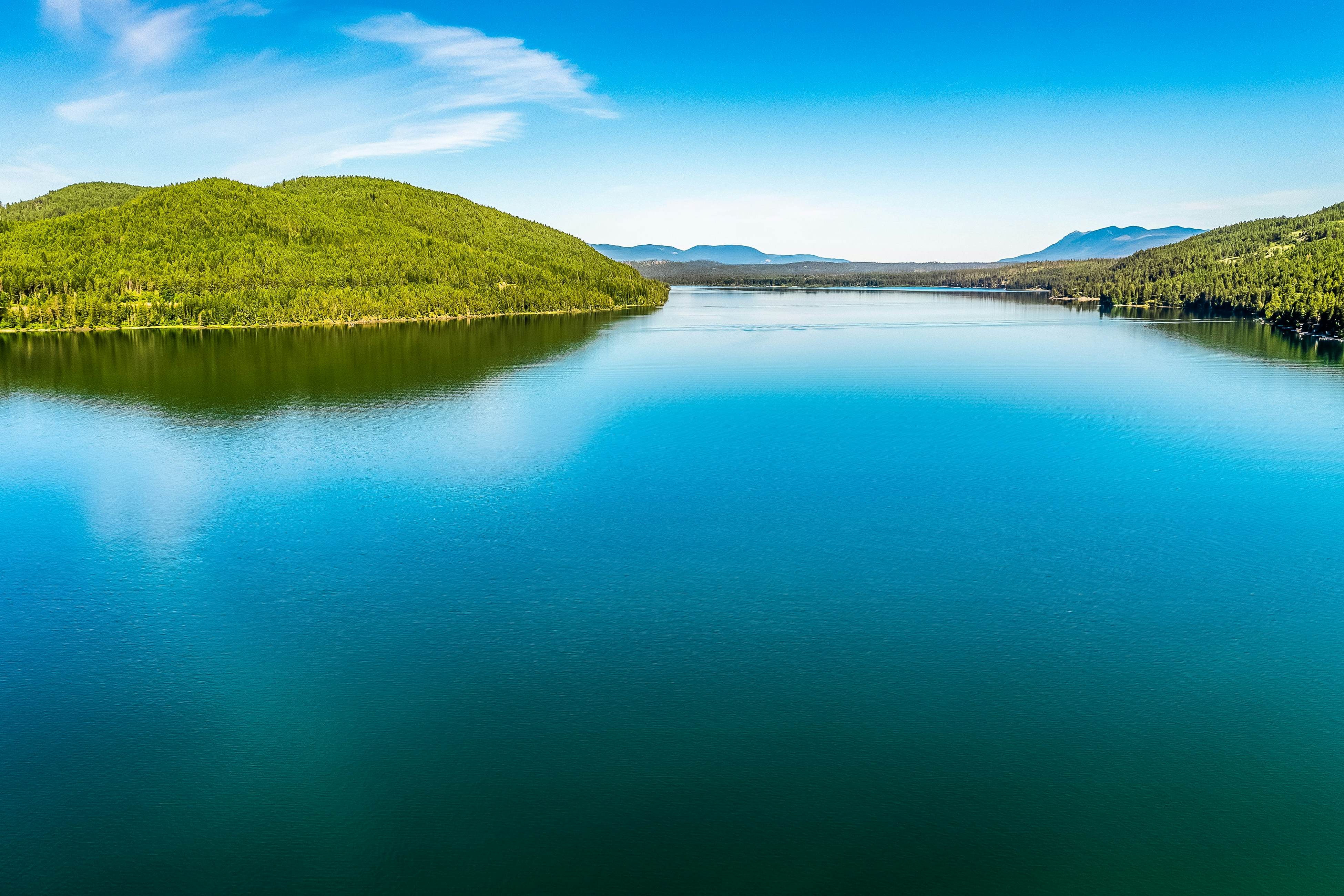 Peaceful Pine Retreat