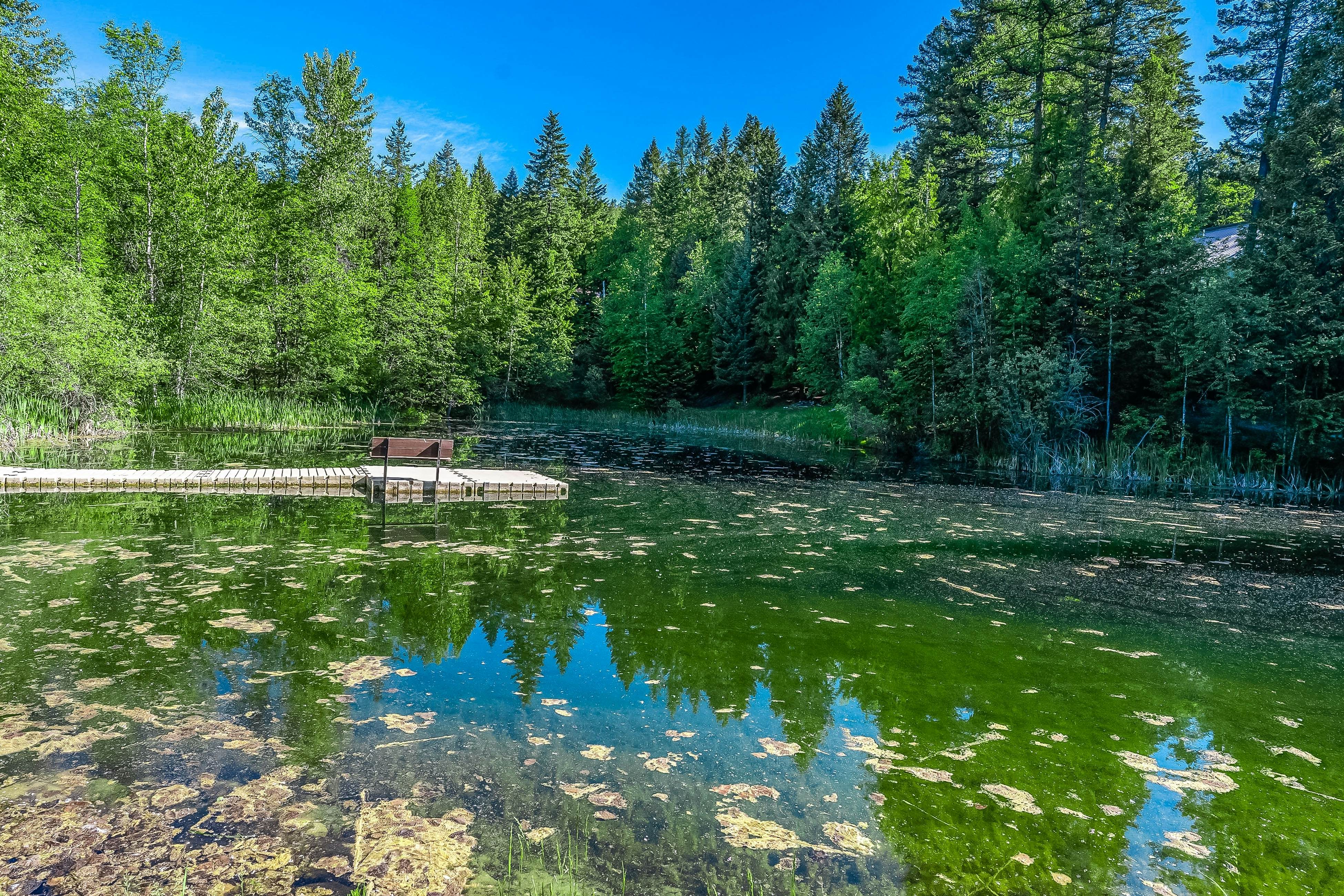 Peaceful Pine Retreat