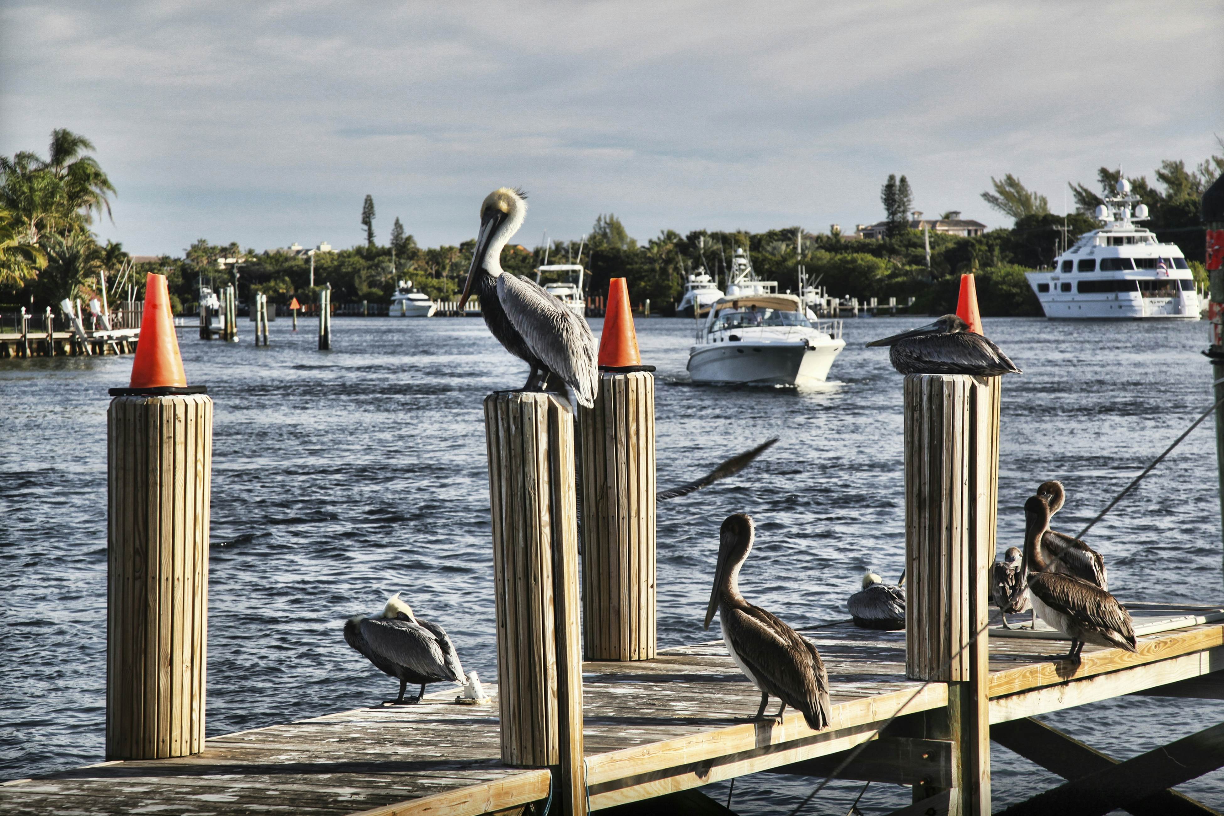 Floranada Getaway #23