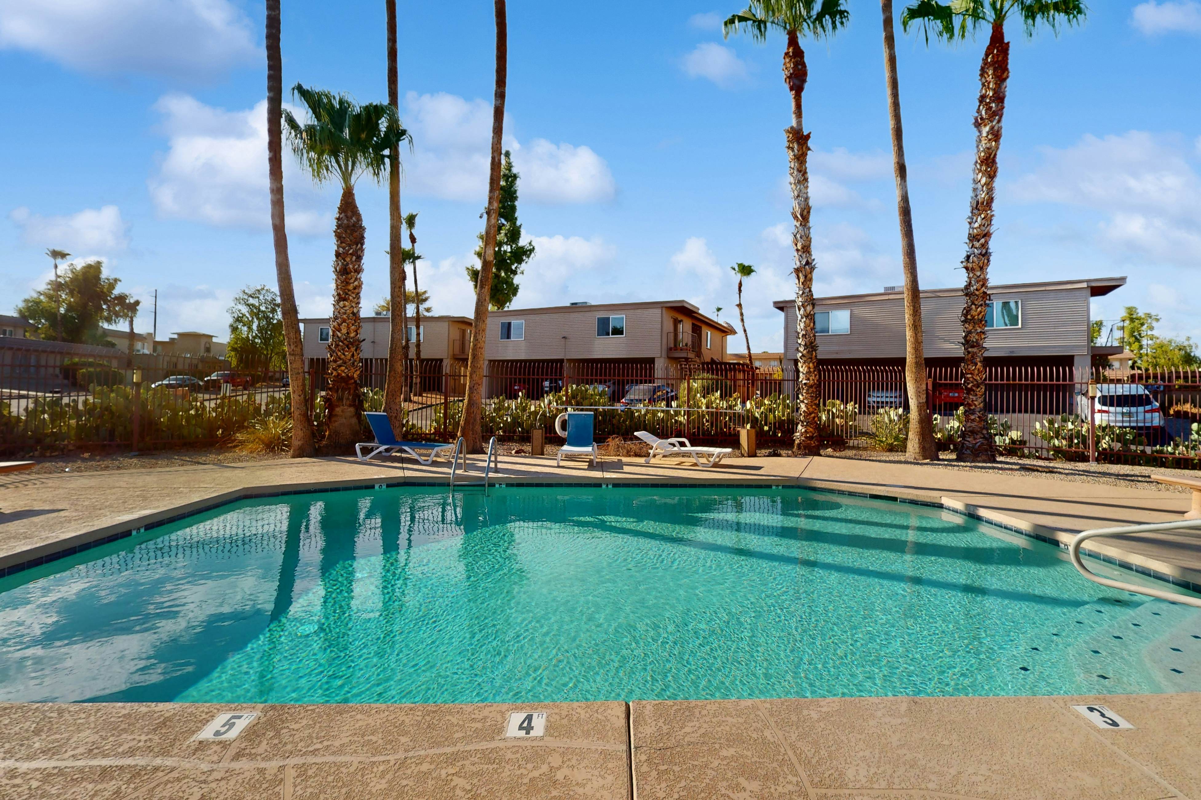 Fun in the Fountain Hills Sun