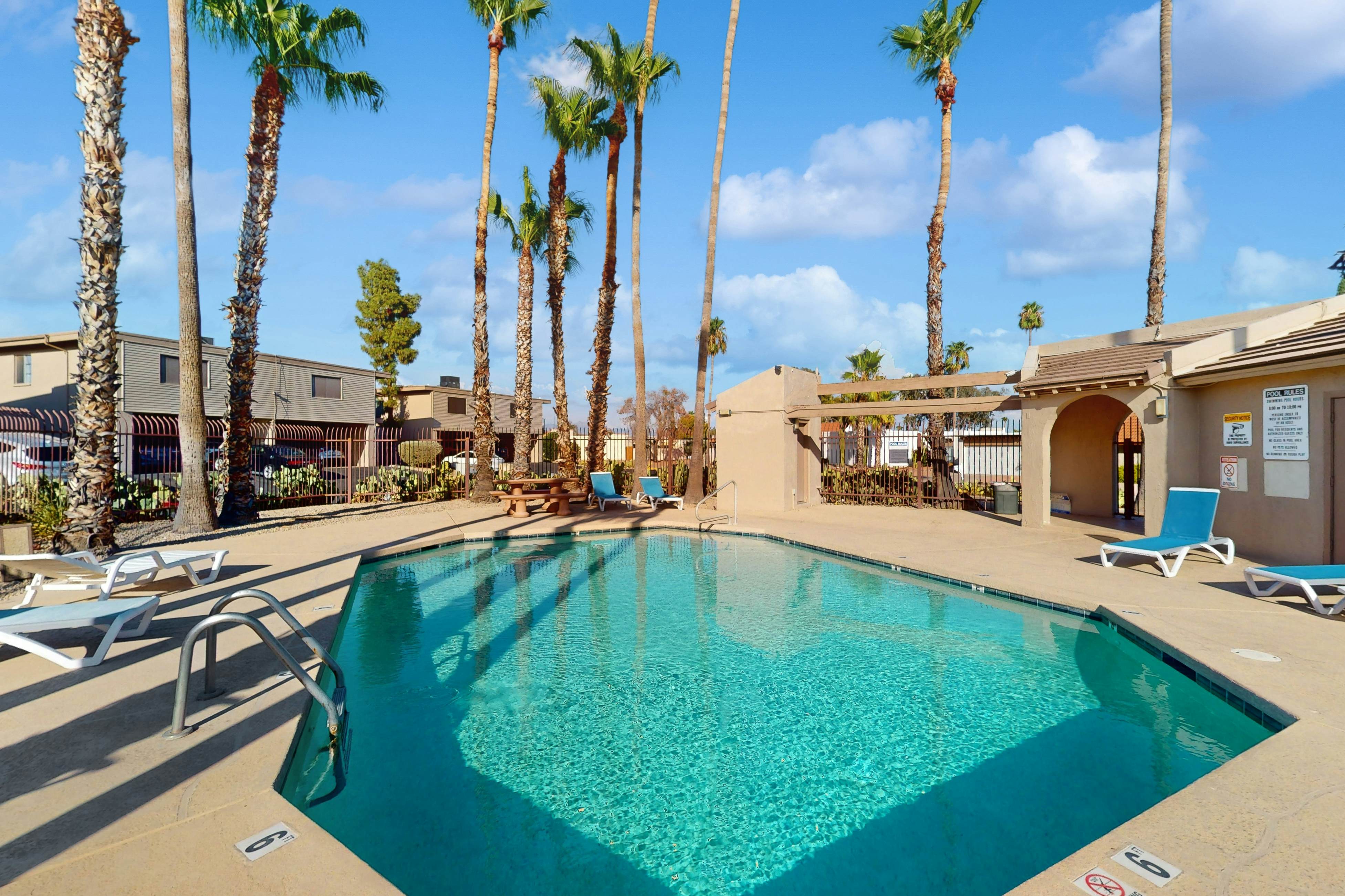 Fun in the Fountain Hills Sun