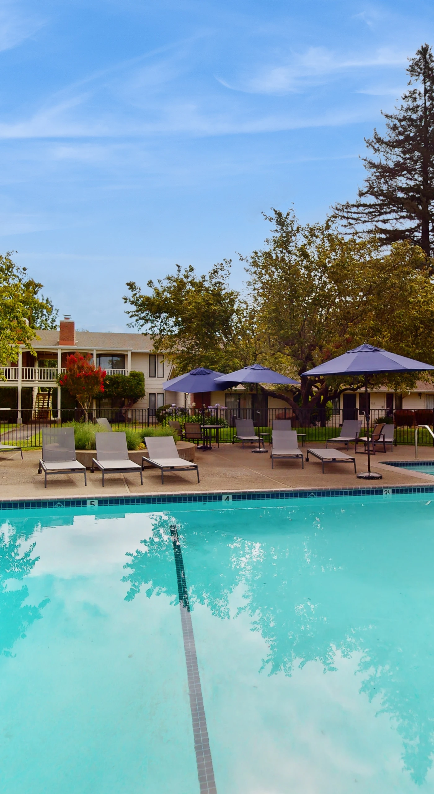 Cool off in your resort's sparkling outdoor pool surrounded by lounge chairs, shade umbrellas, and mature Napa Valley trees — perfect after a day of tastings.