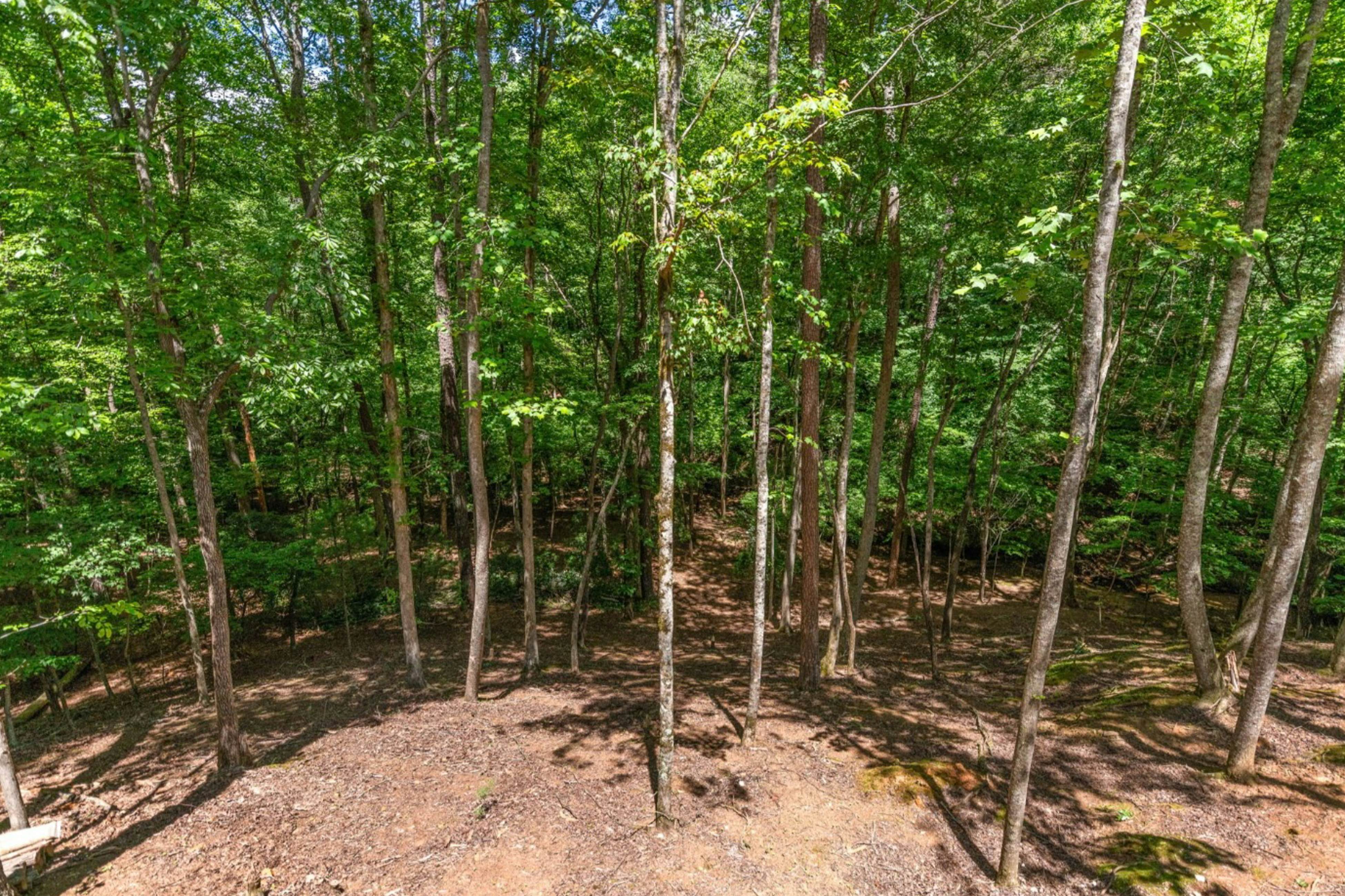 Rustic Elegance of Ellijay