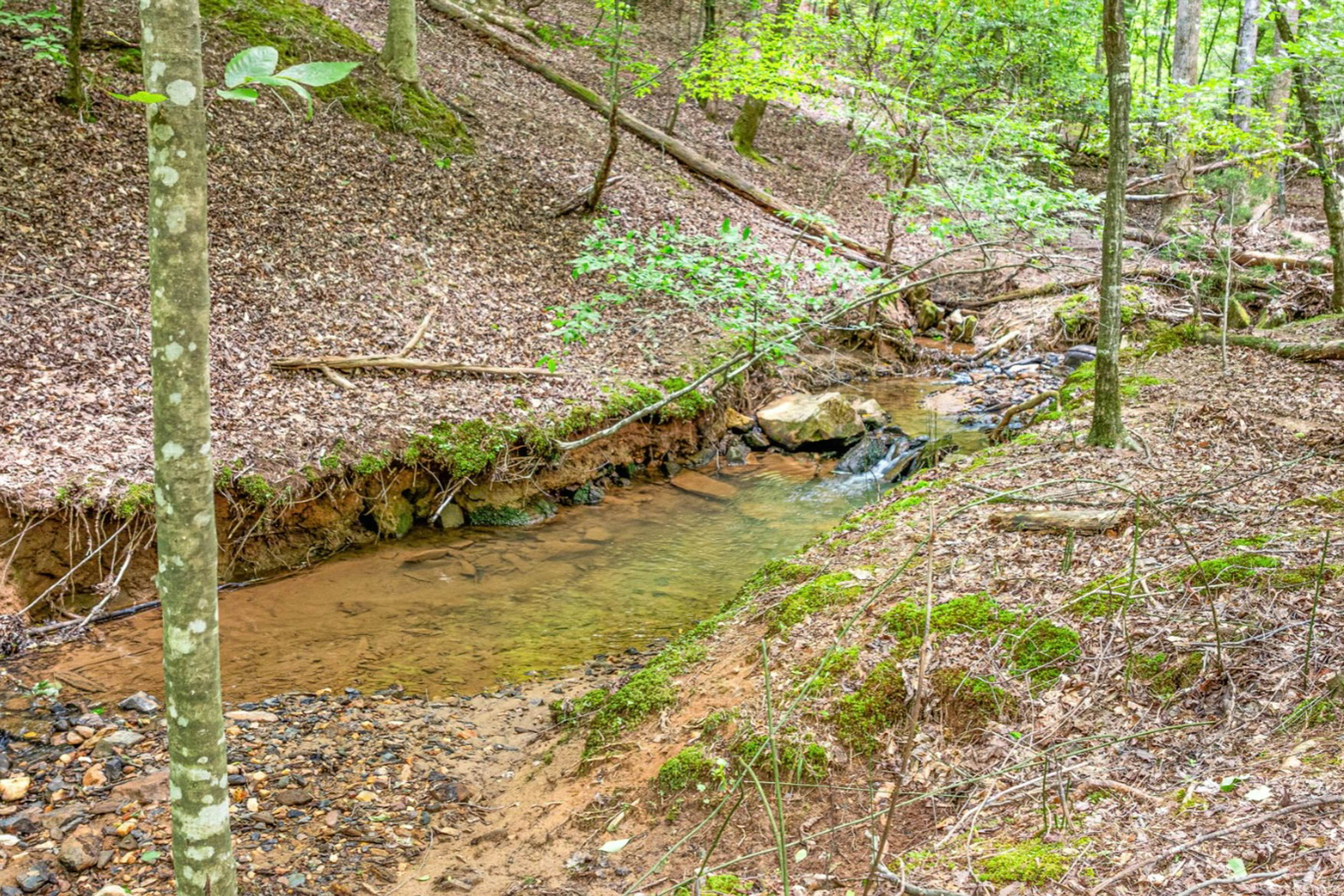 Rustic Elegance of Ellijay