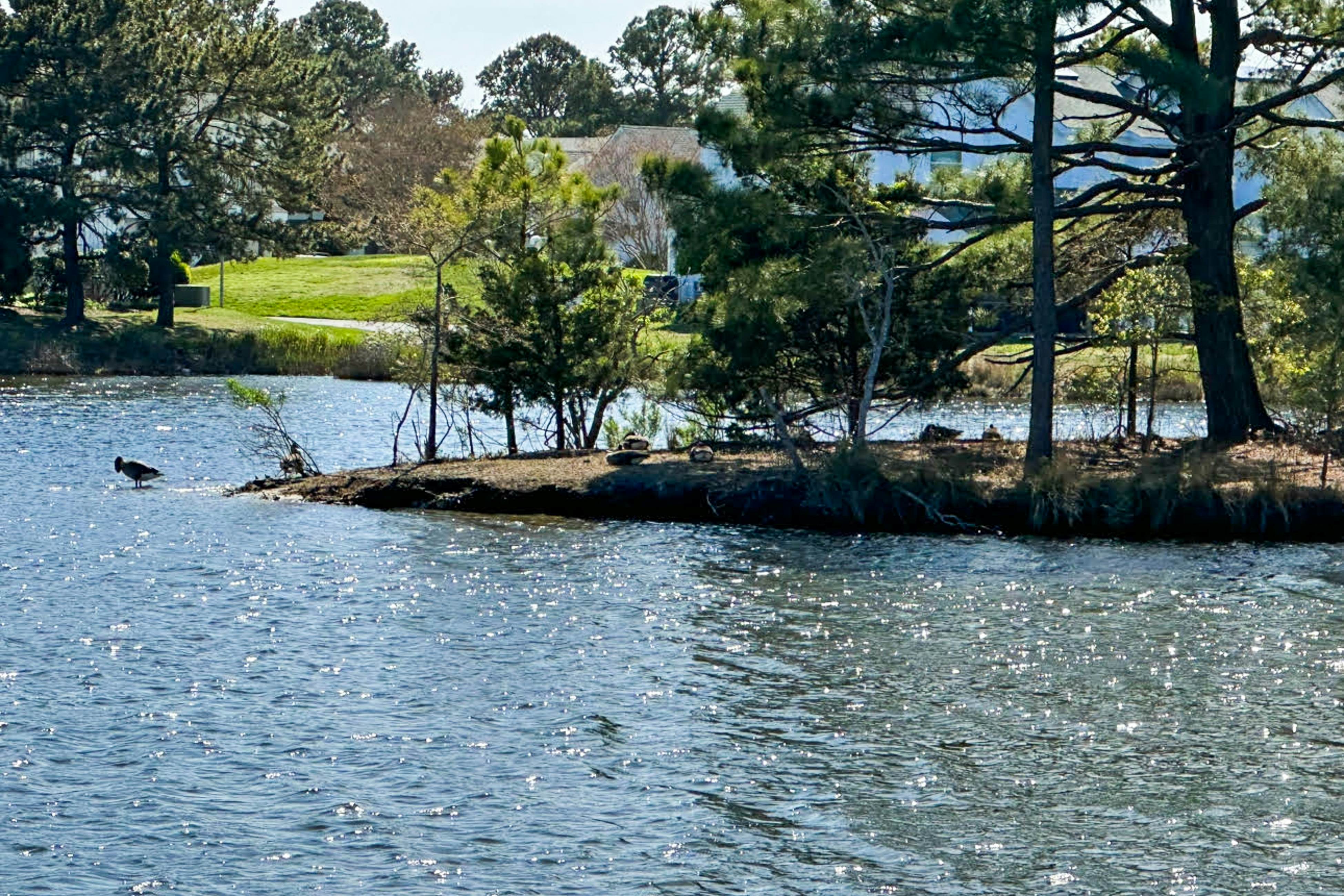 Mallard Lakes - Bluebird Ln 2BR lake view