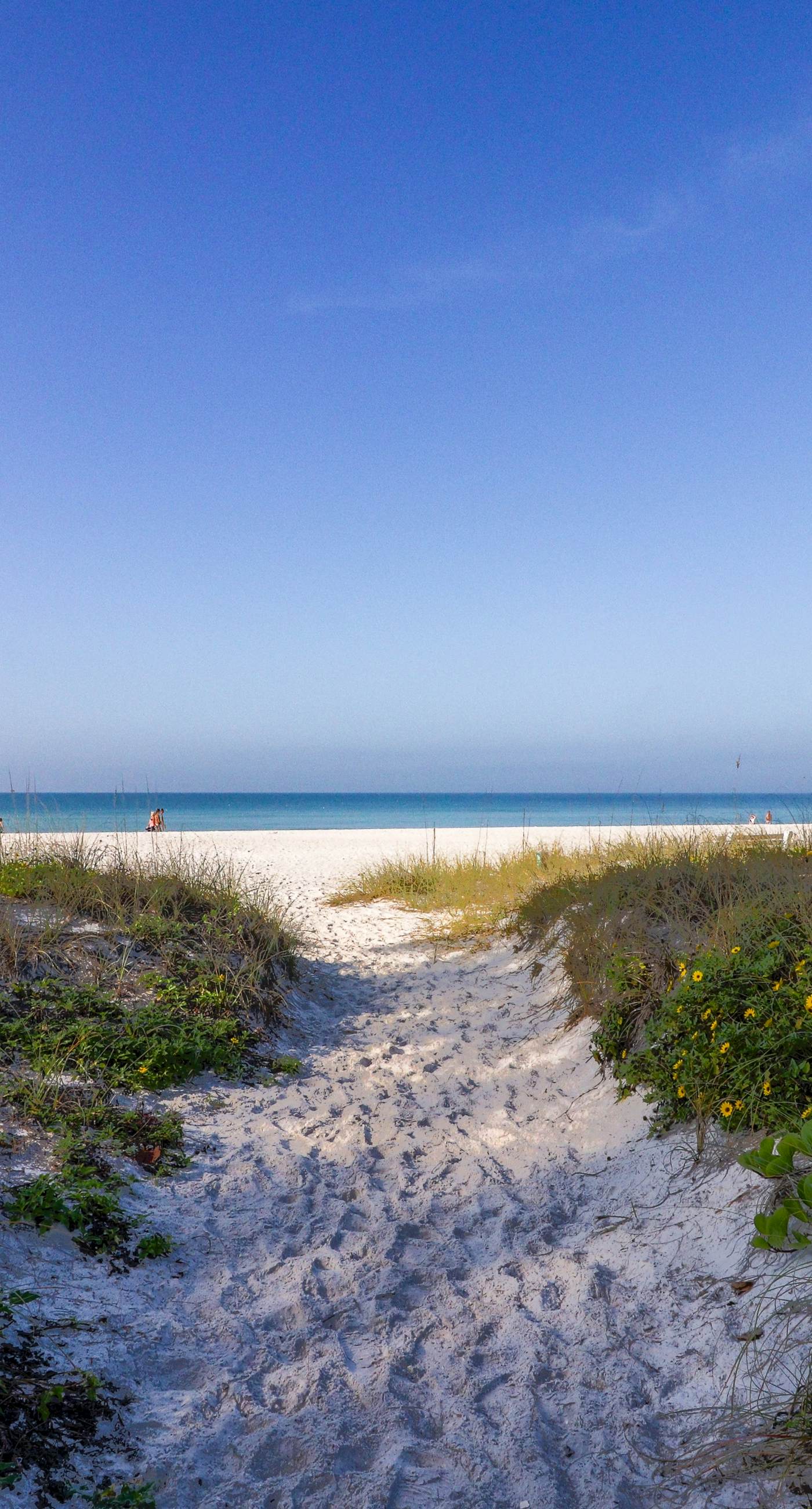 Gertie's Pineapple House