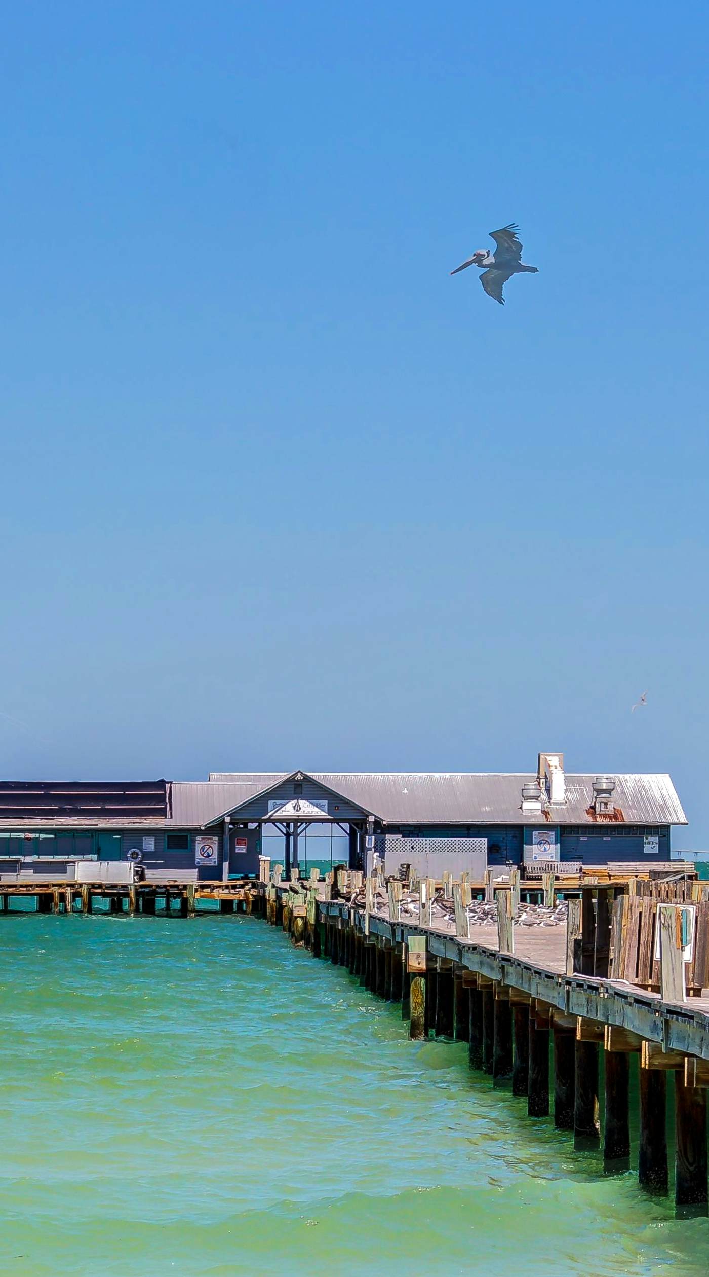 Gertie's Pineapple House