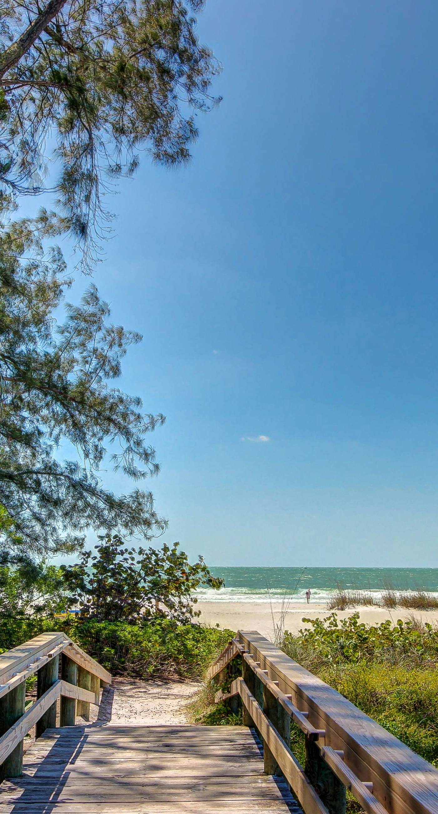 Gertie's Pineapple House