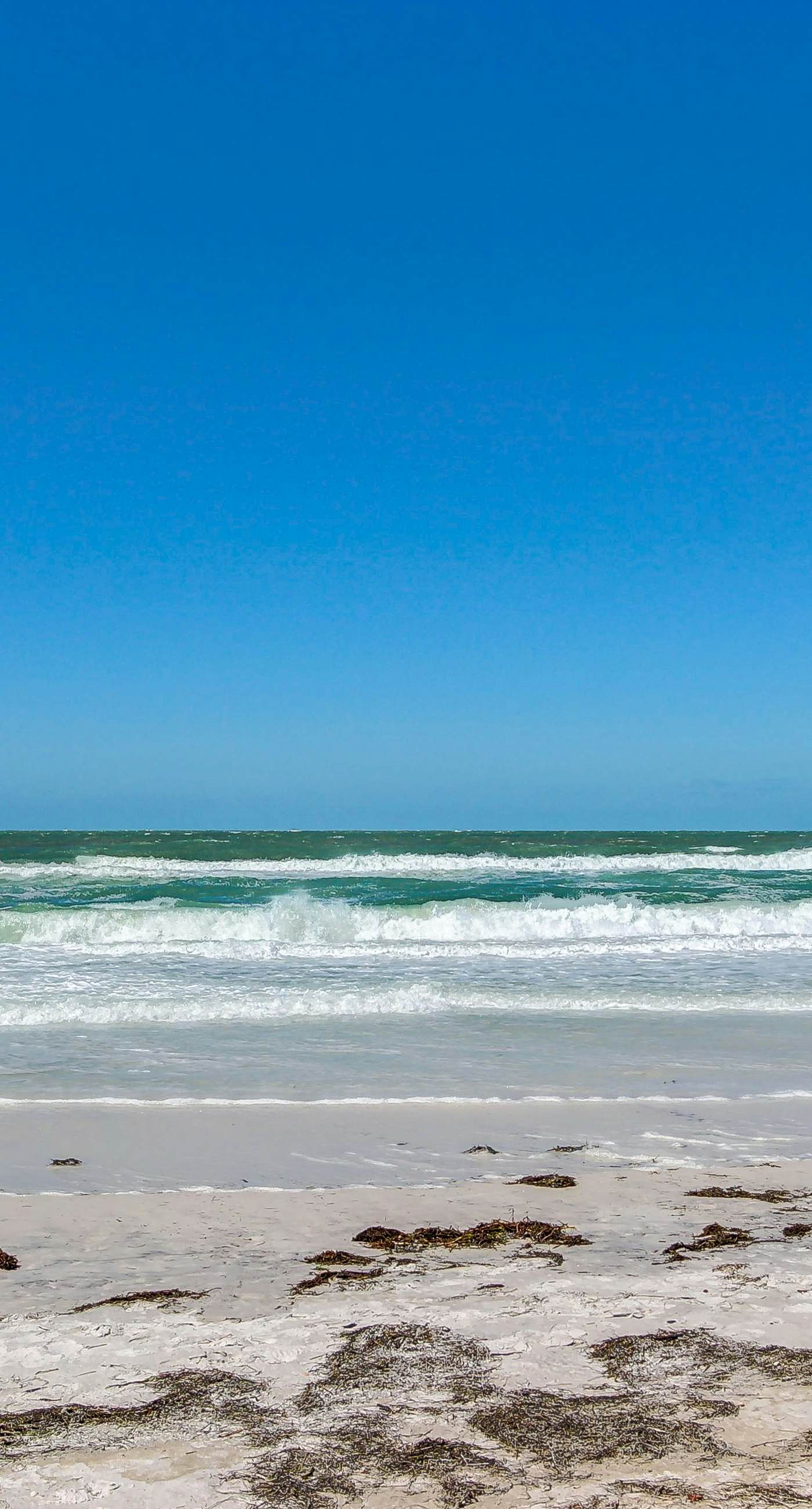 Gertie's Pineapple House