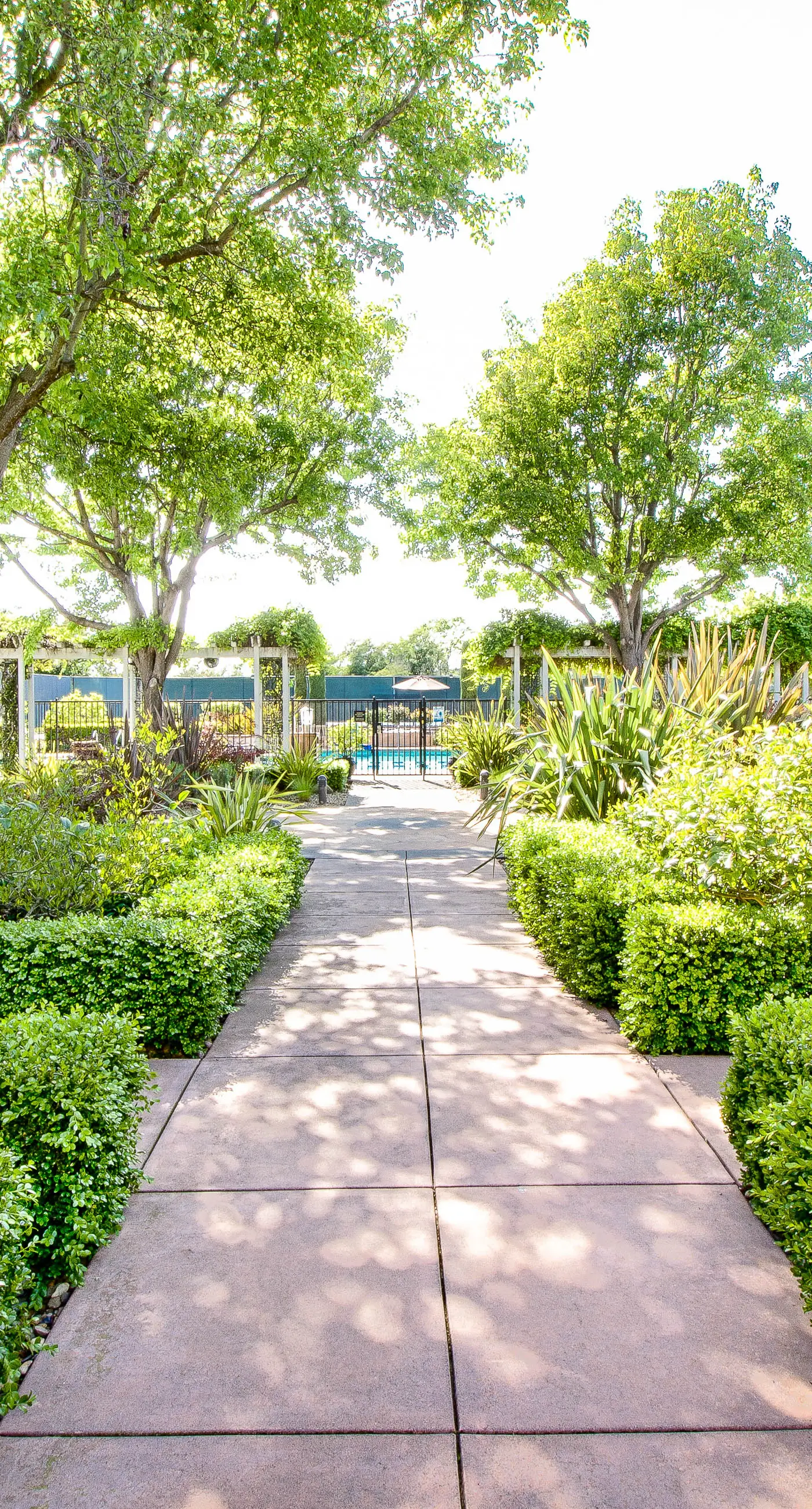 Silverado Resort and Spa 287 & 288