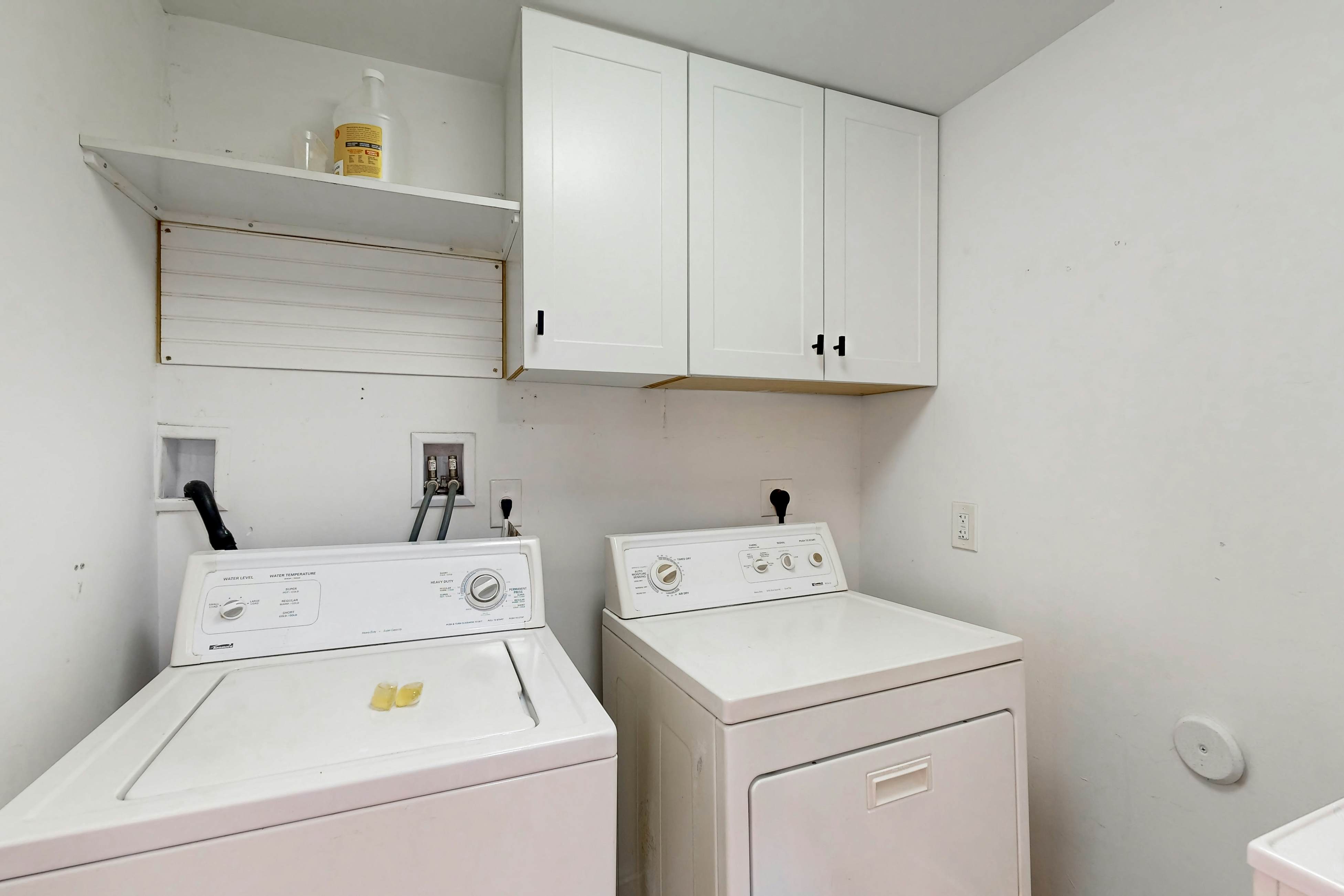 Mid-Century Modern Oasis