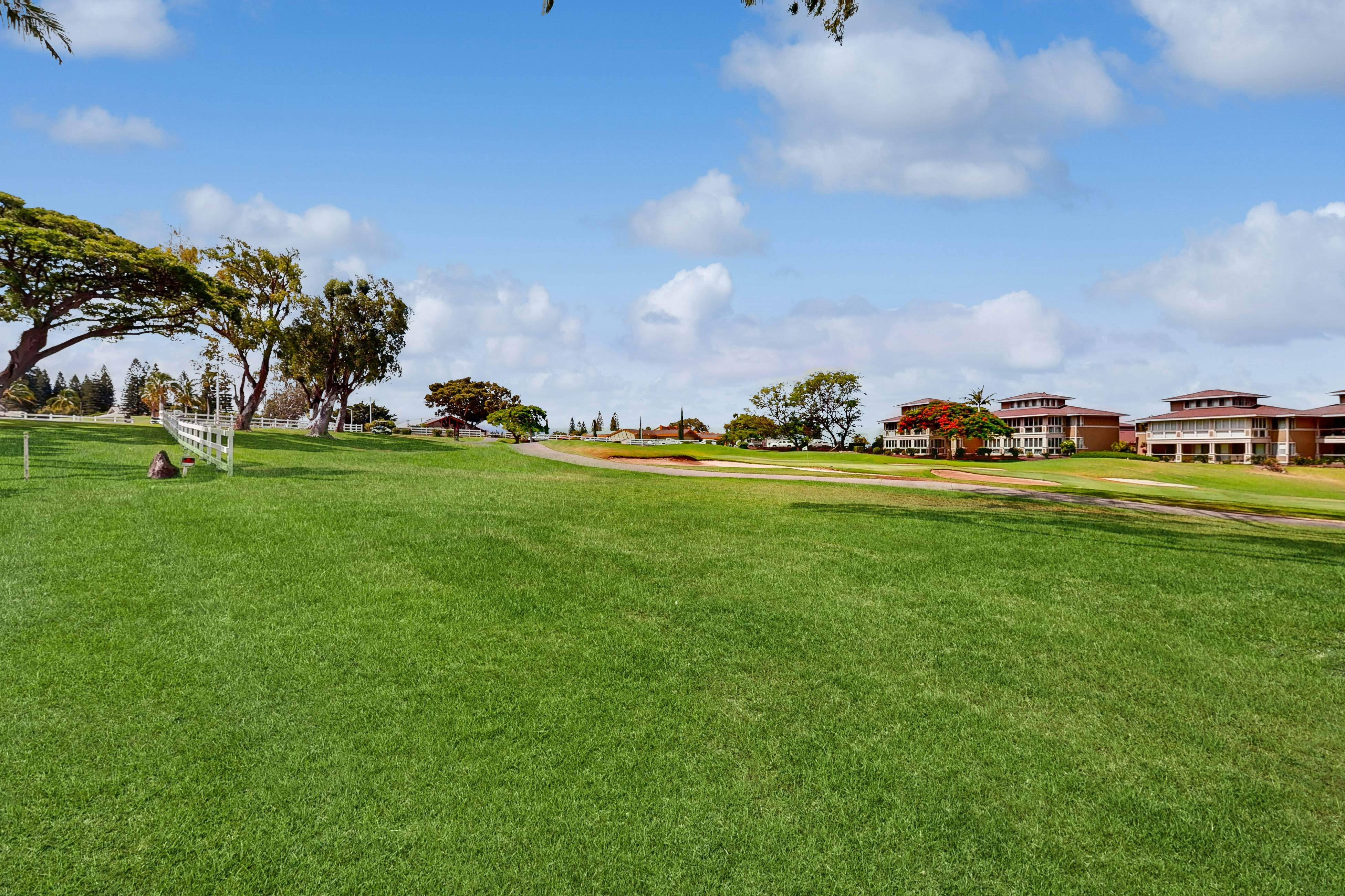 Waikoloa Villas H202