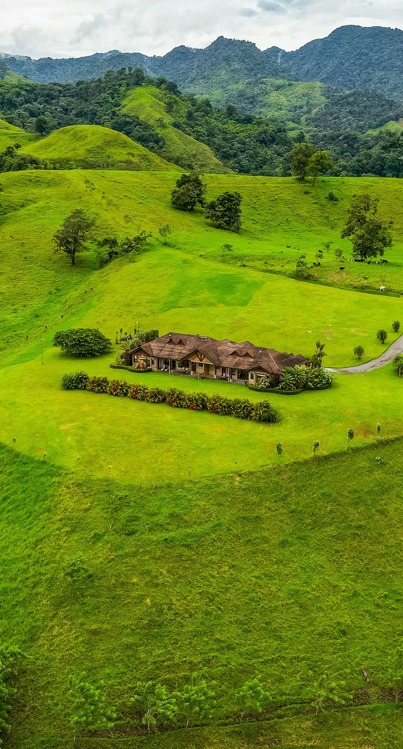 Casa Shamrock Duplex 1