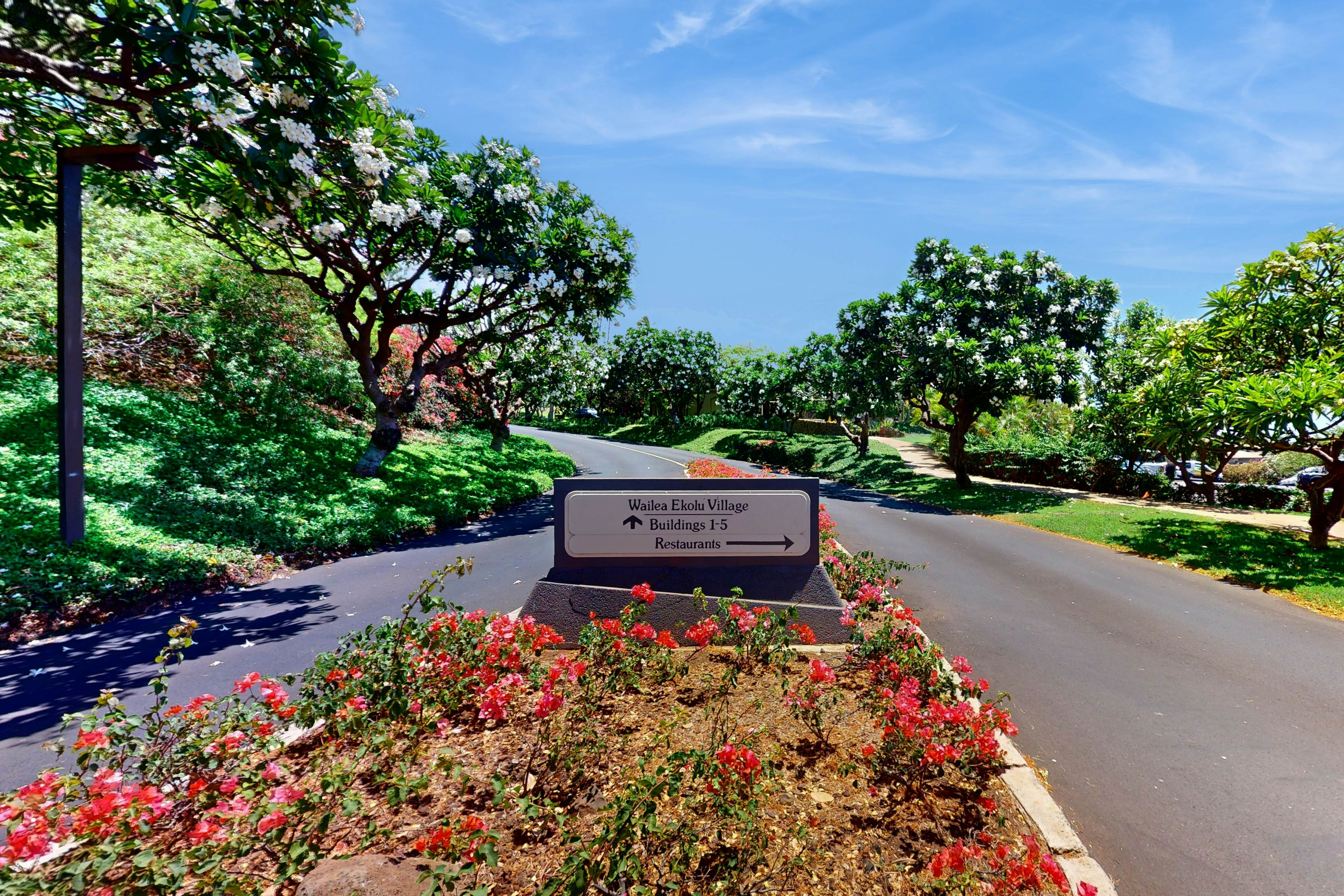 Wailea Ekolu Village 203