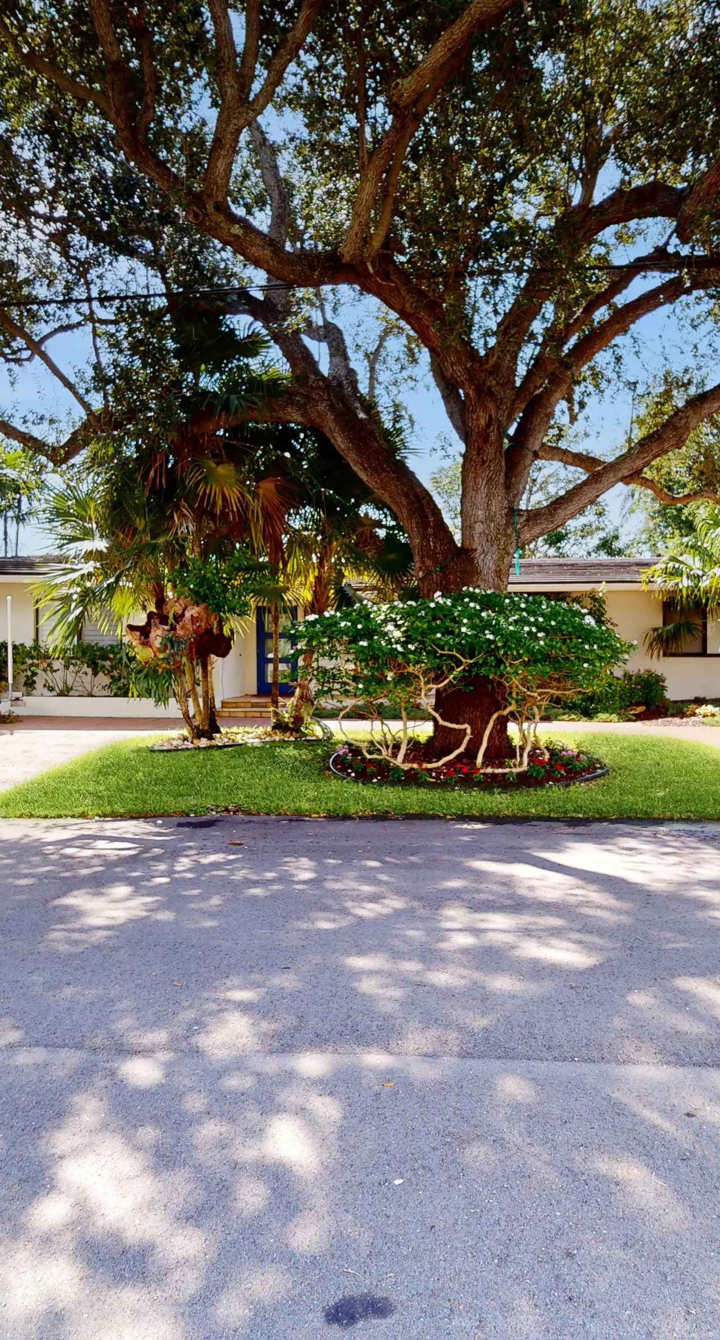 Middle River Lookout