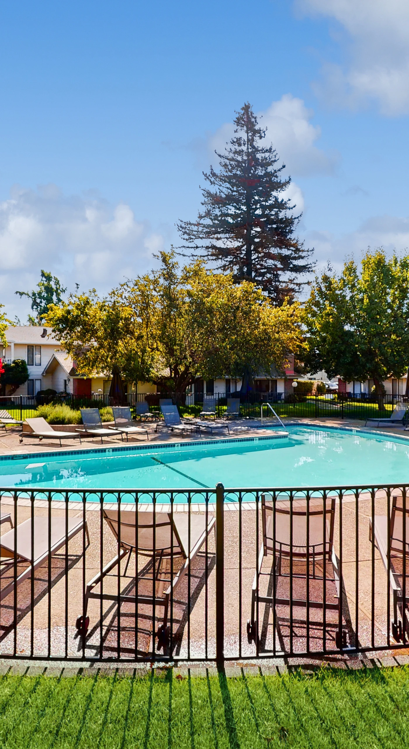 Cool off between Napa wine tastings at your community pool — fenced for privacy, lined with lounge chairs, and surrounded by mature shade trees.