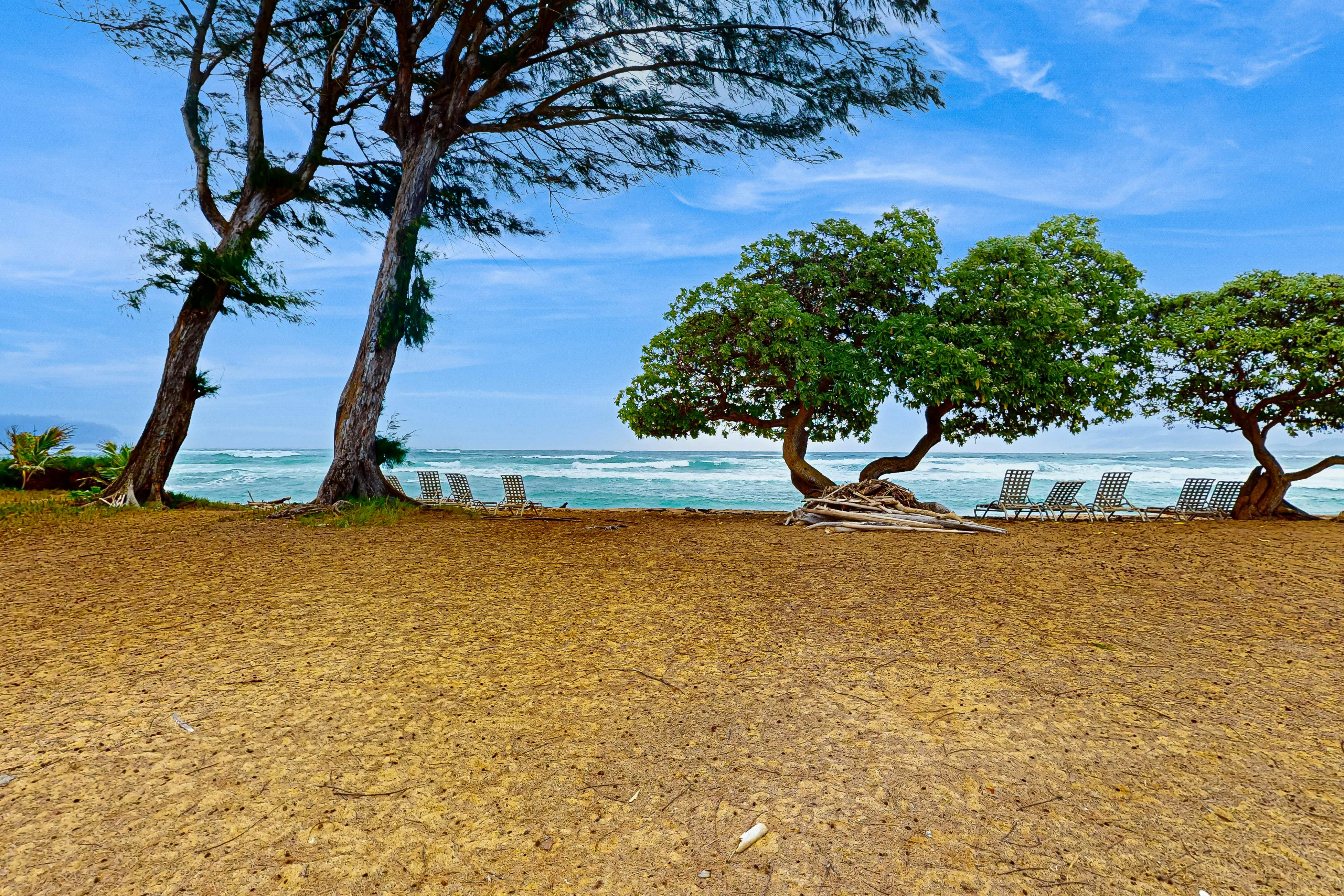 Islander on the Beach 171