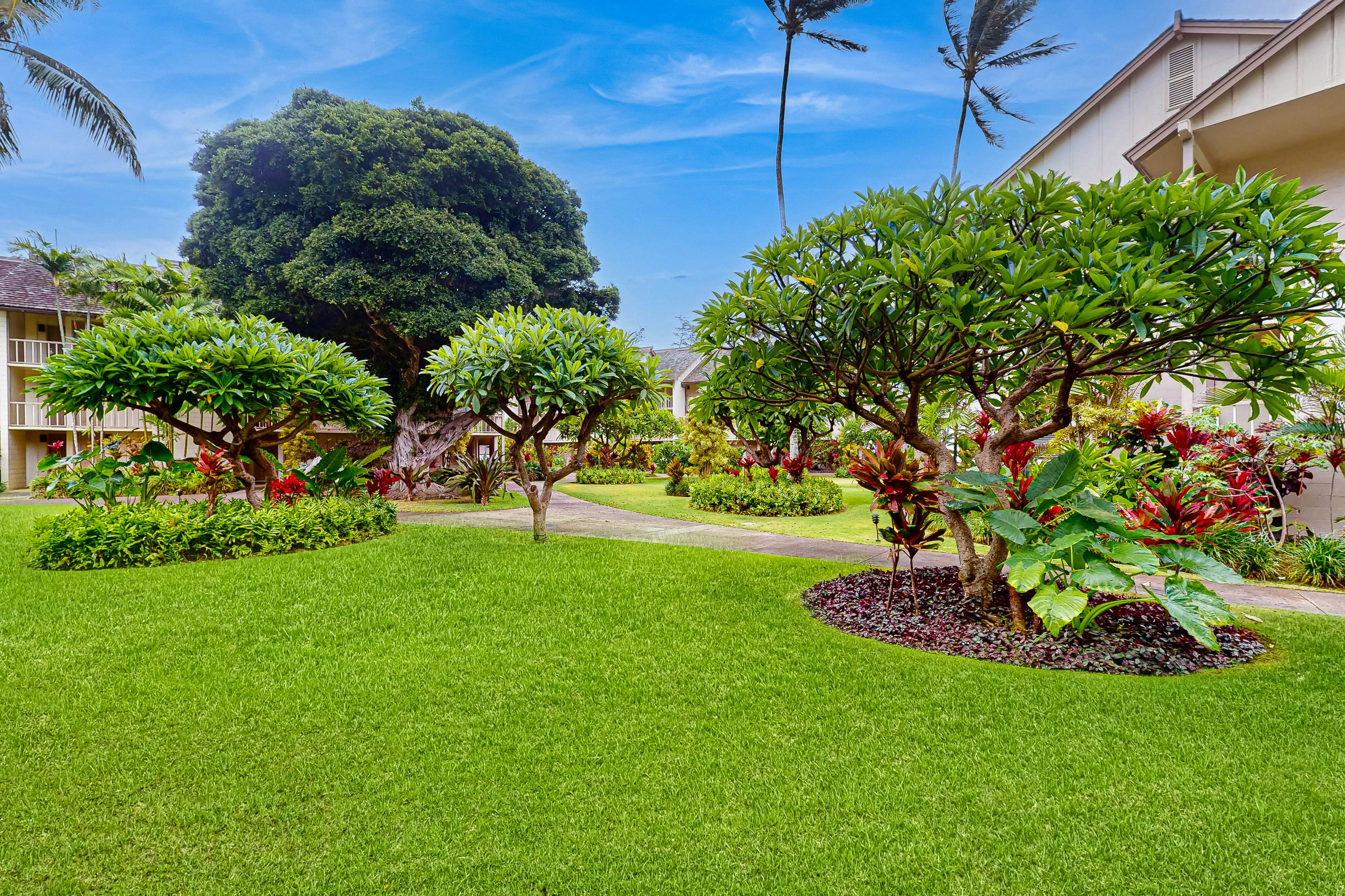 Islander on the Beach 171