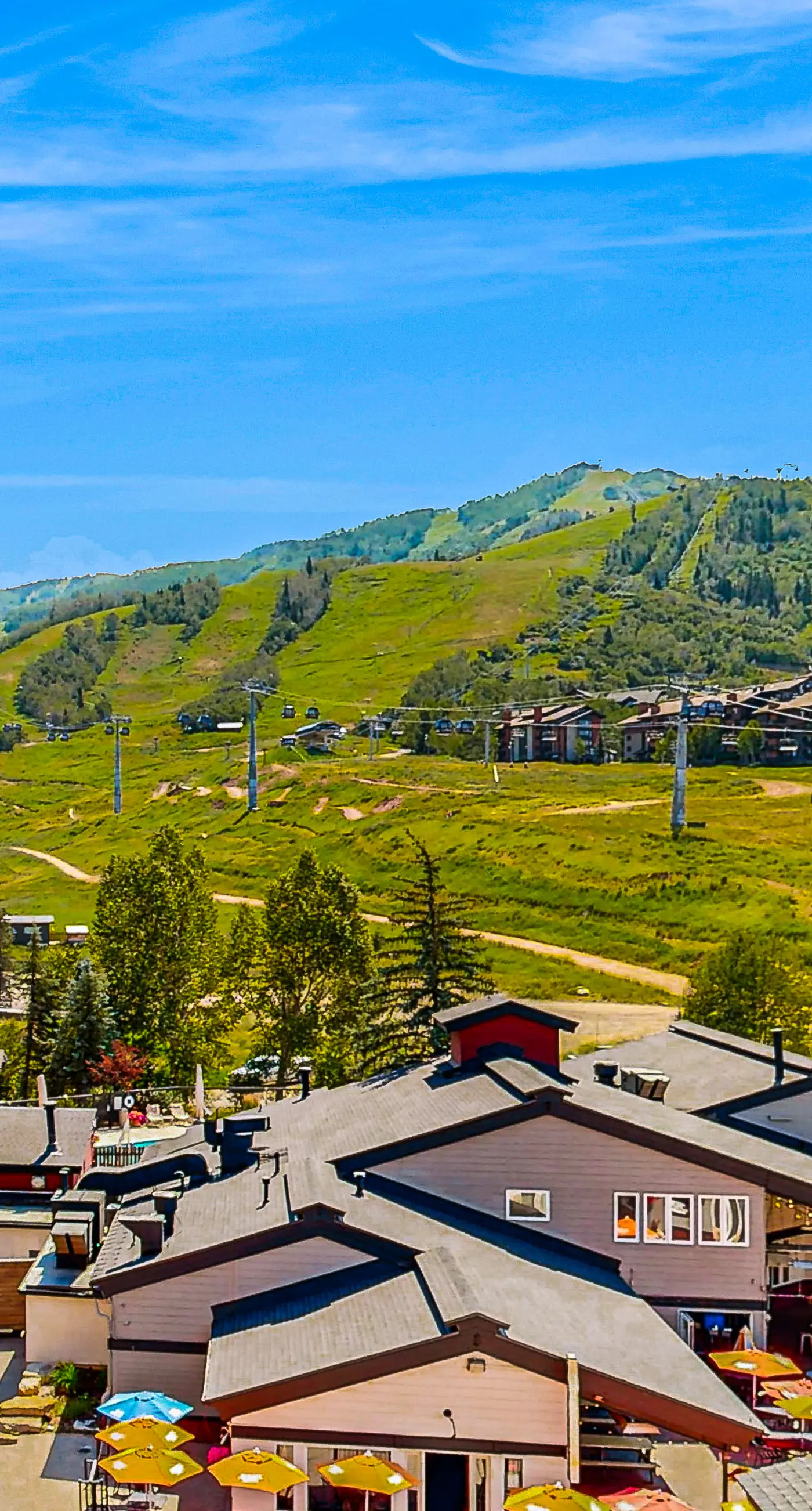 Torian Plum Plaza 502