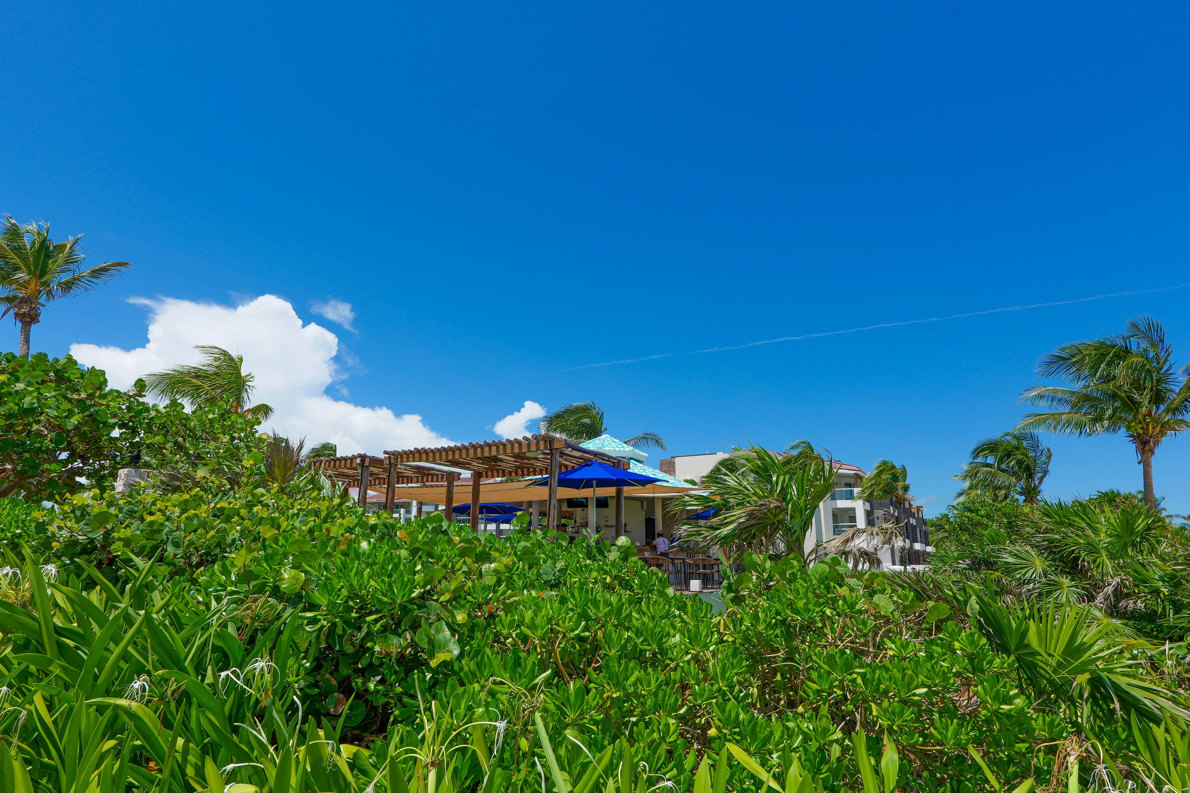 Seaside Serenity Retreat at Mareazul Norte - 2 bedroom