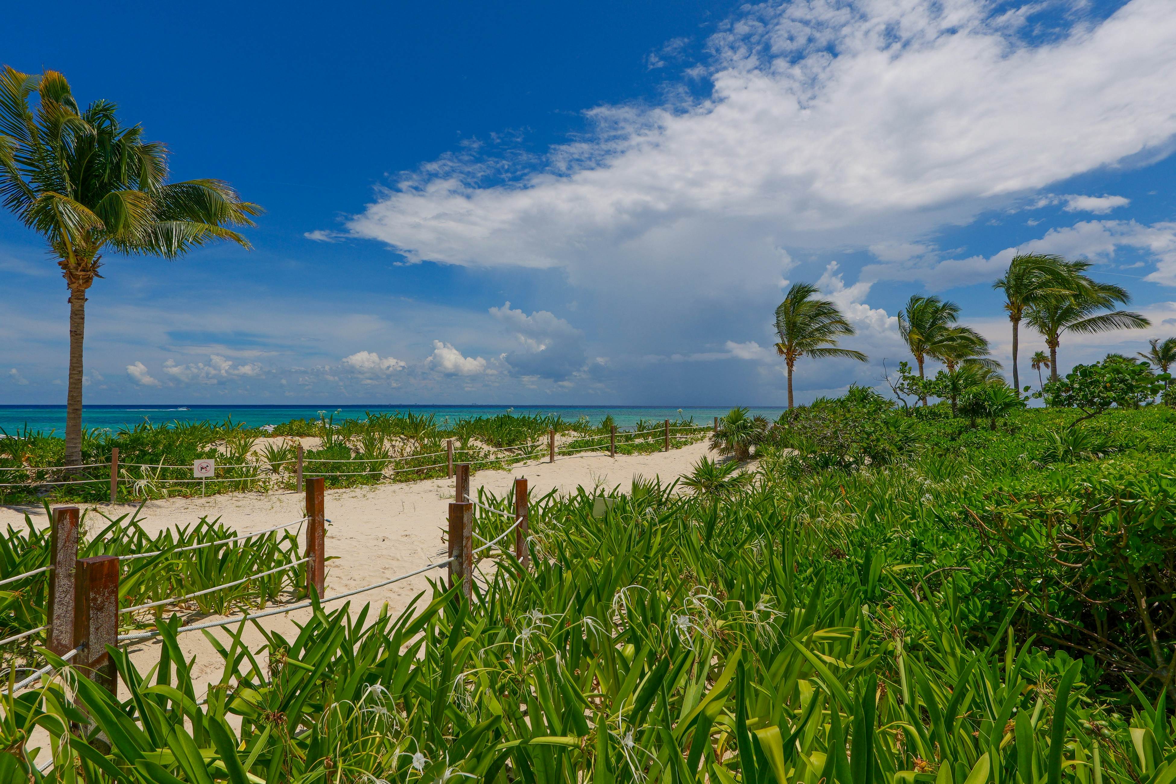 Seaside Serenity Retreat at Mareazul Norte- Studio