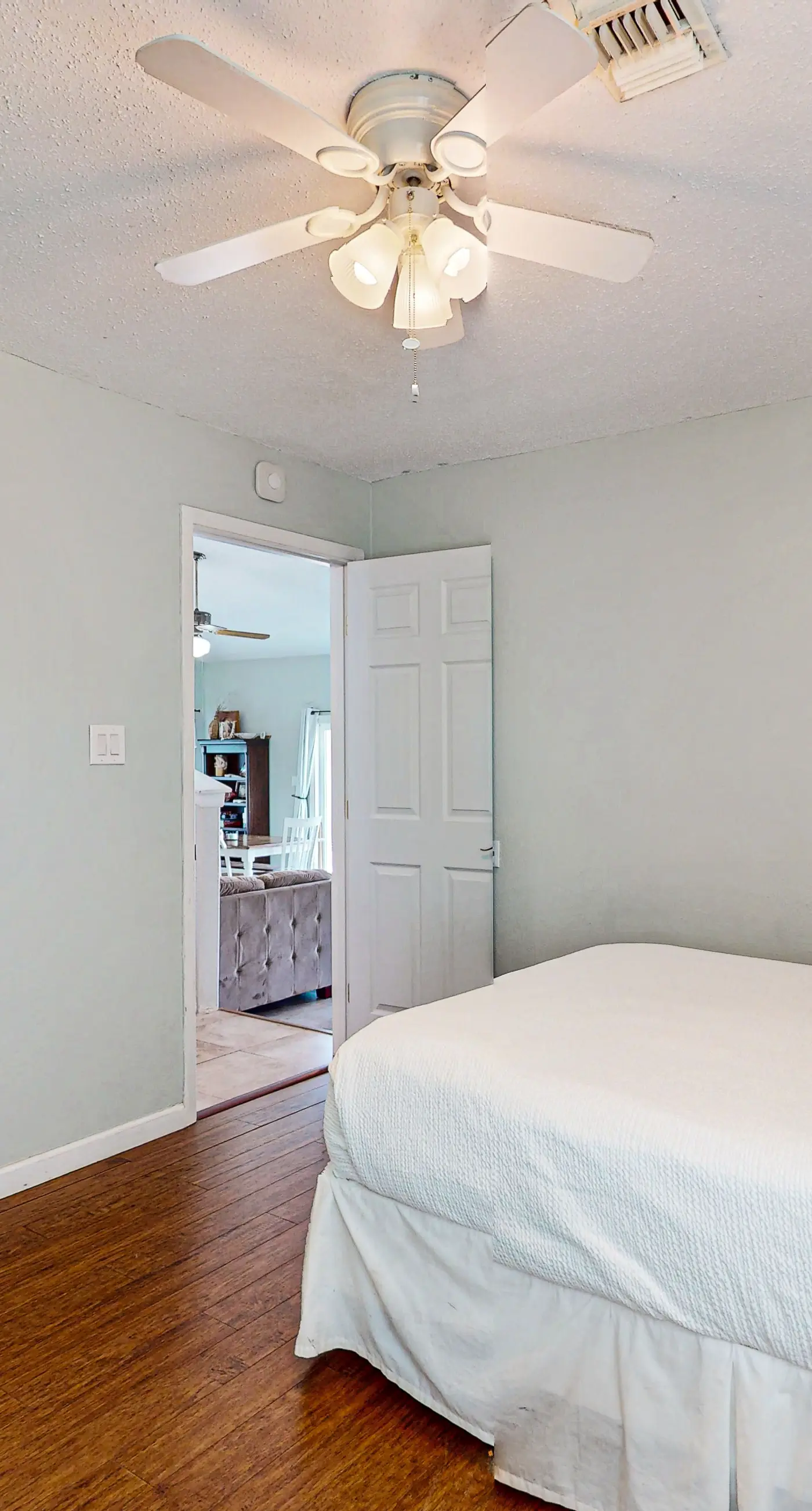 Lost Colony Lost Sea Turtle