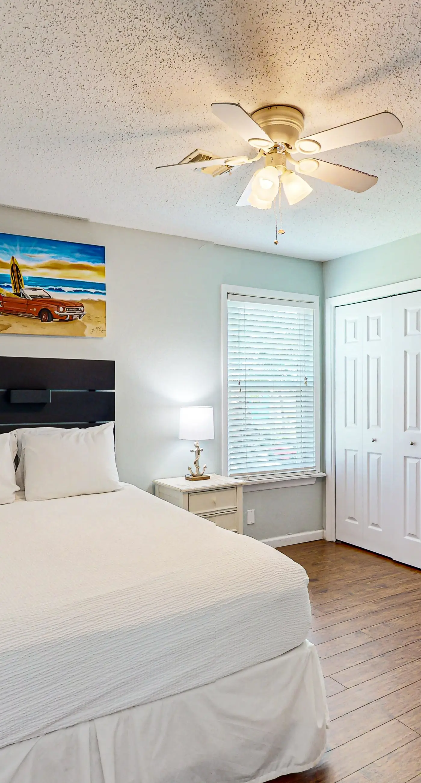 Lost Colony Lost Sea Turtle