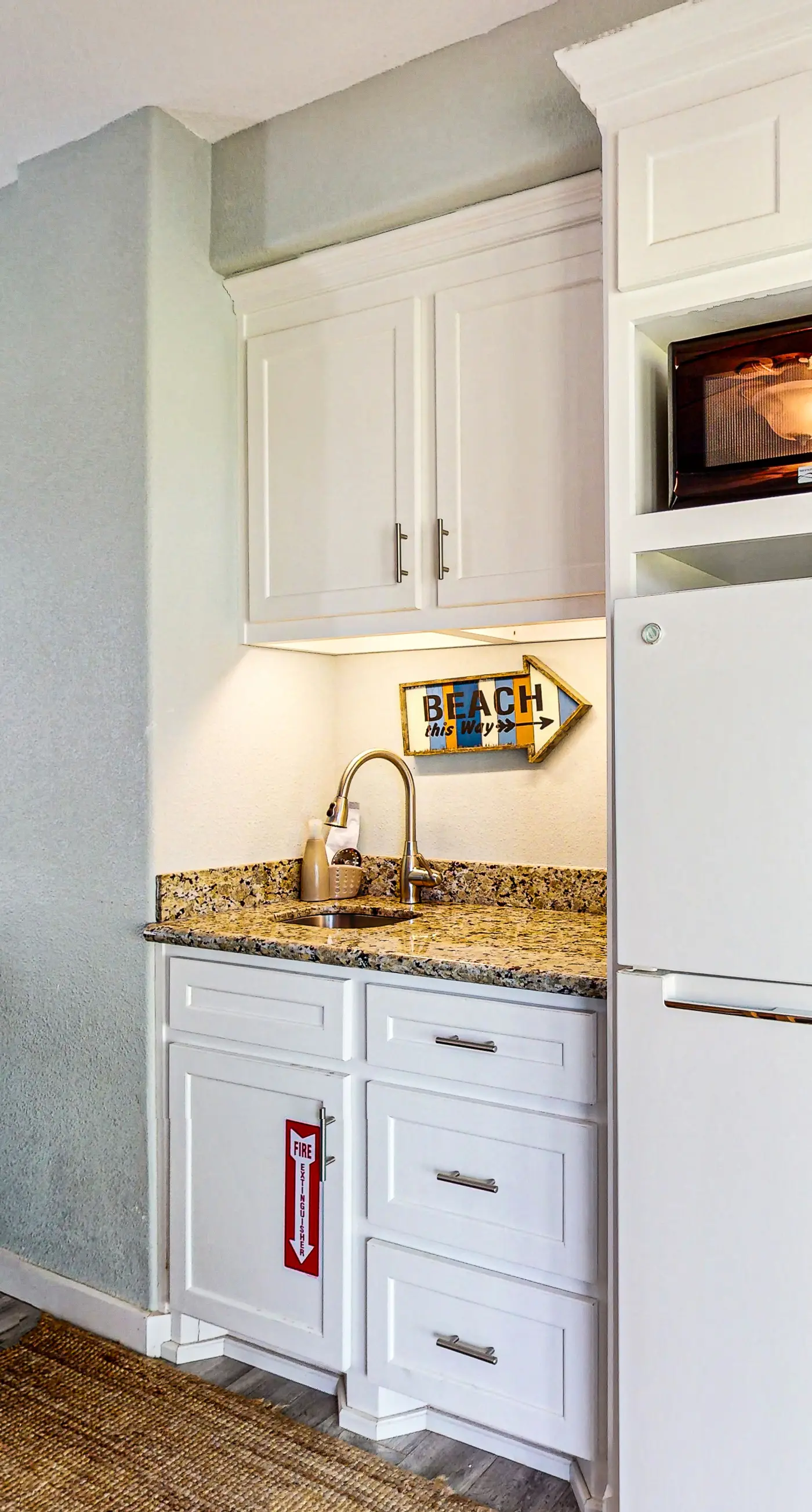 Lost Colony Lost Sea Turtle