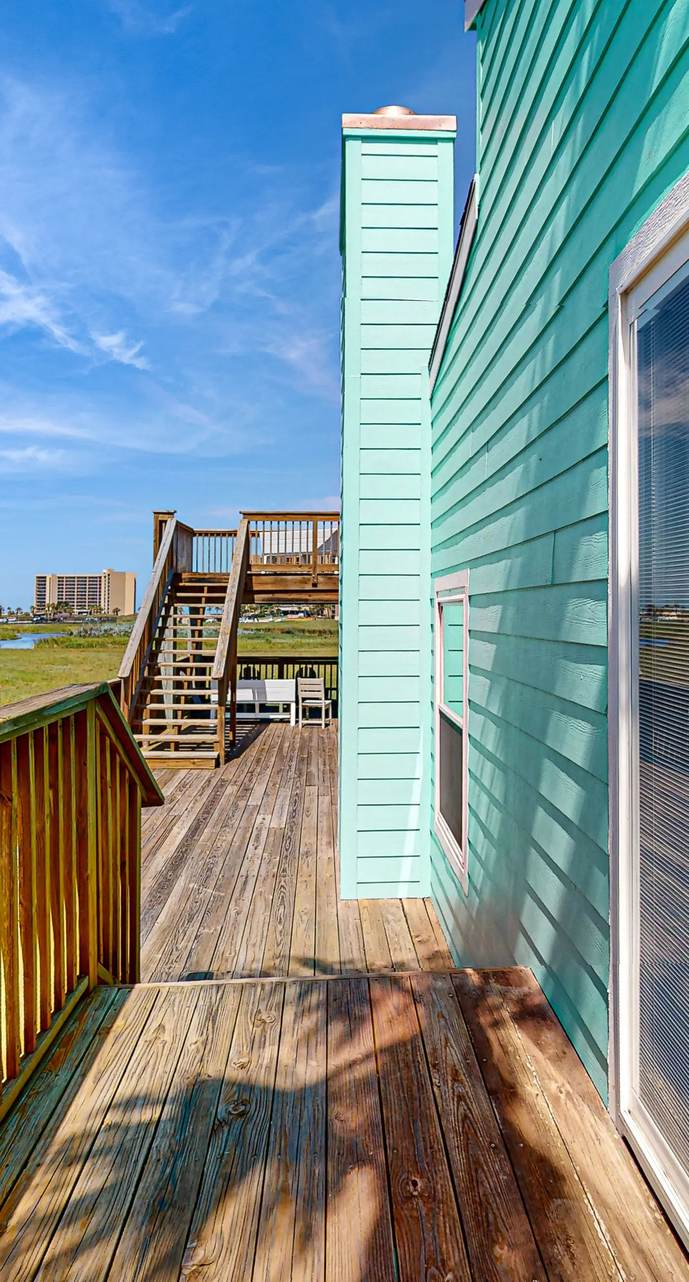 Lost Colony Lost Sea Turtle