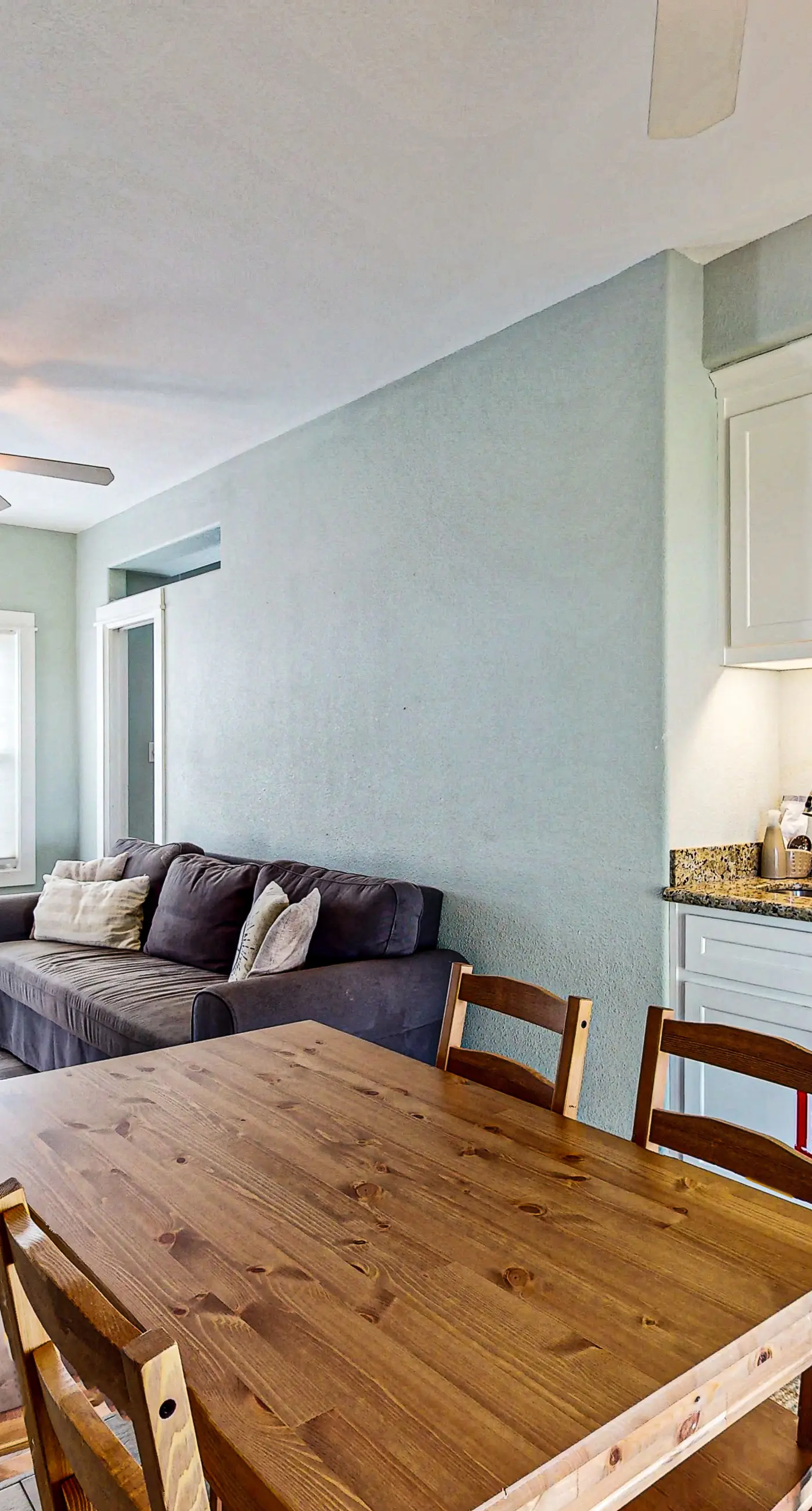 Lost Colony Lost Sea Turtle