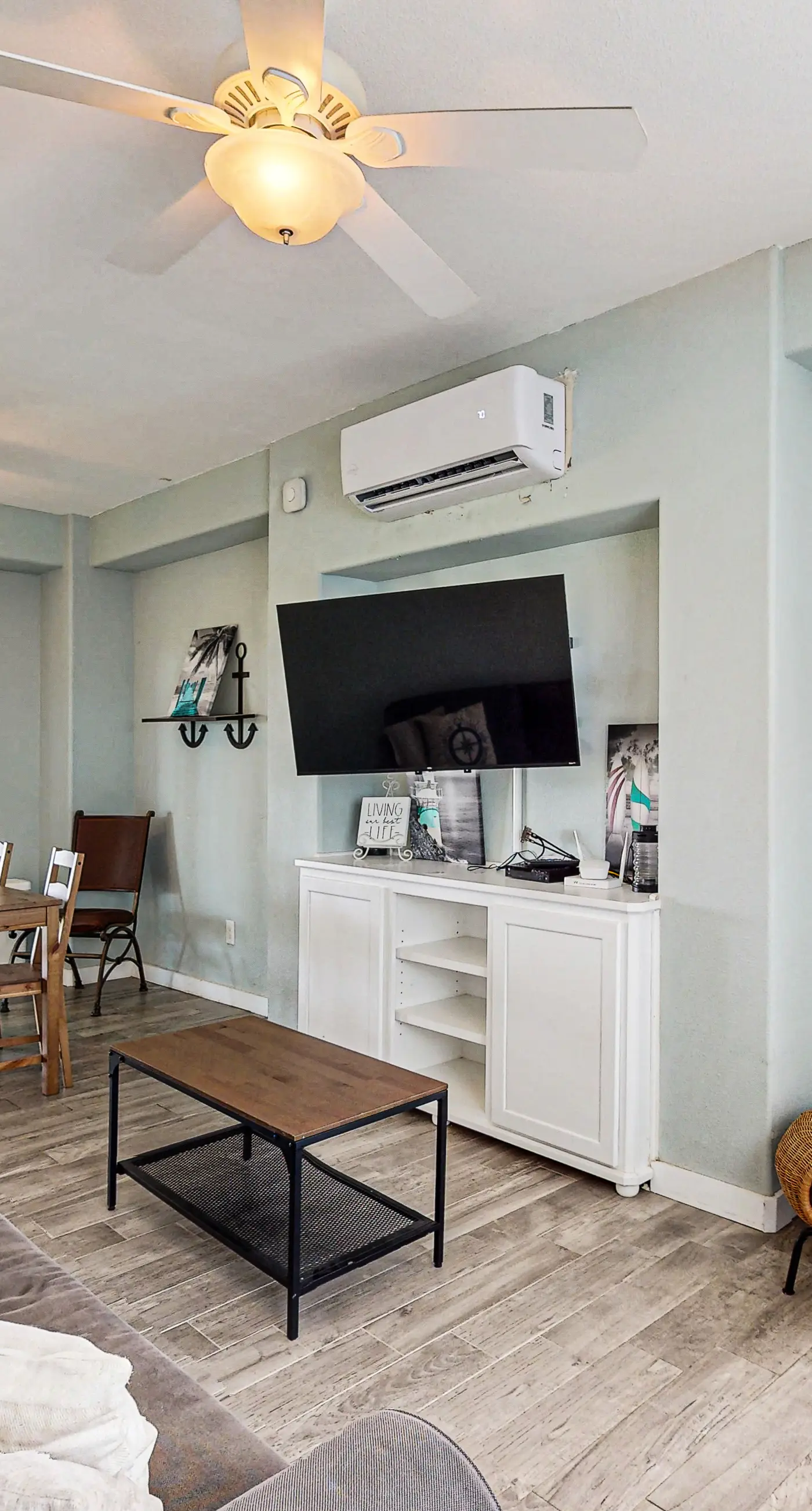 Lost Colony Lost Sea Turtle